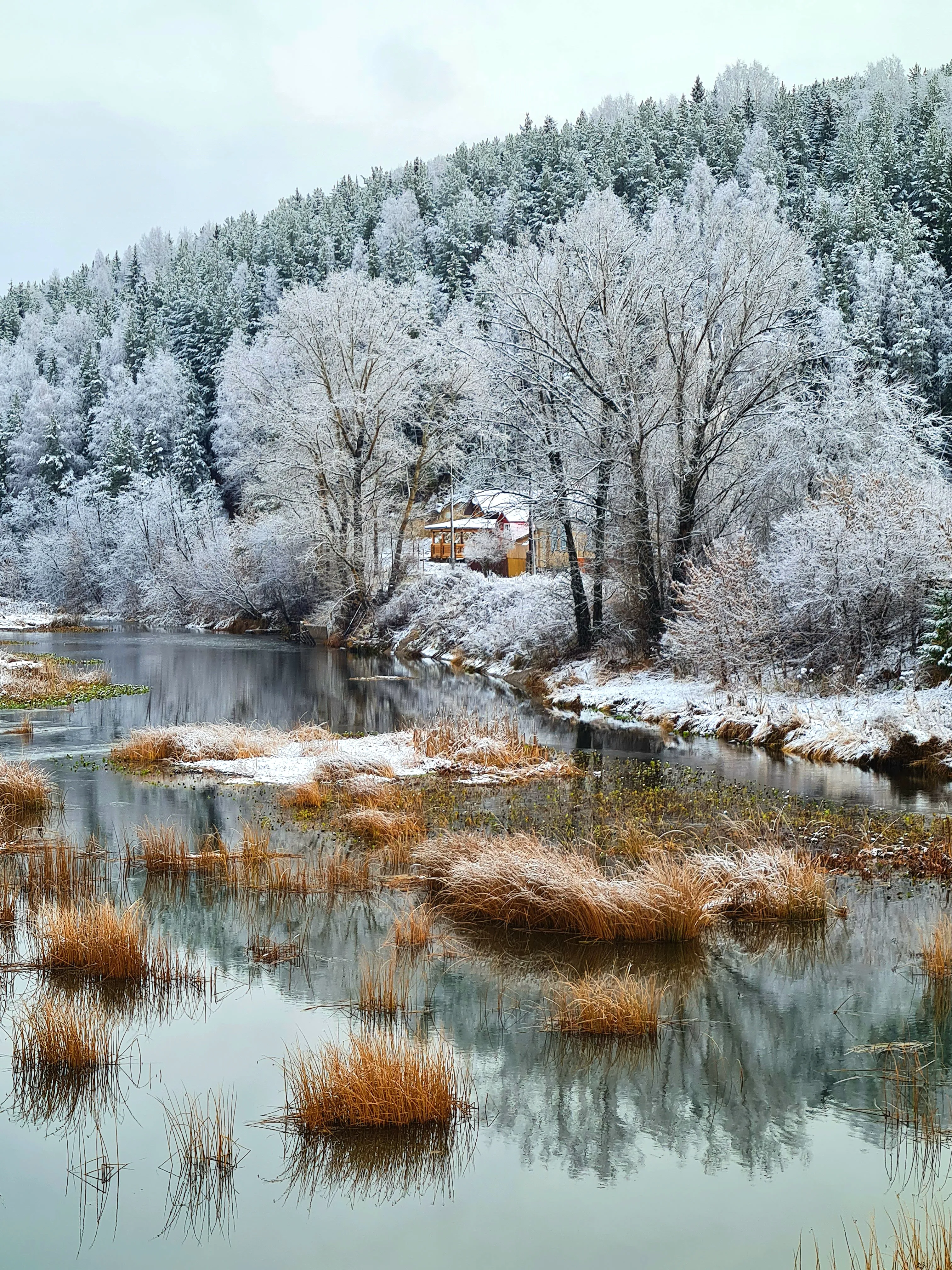 Тихое, осеннее утро ноября