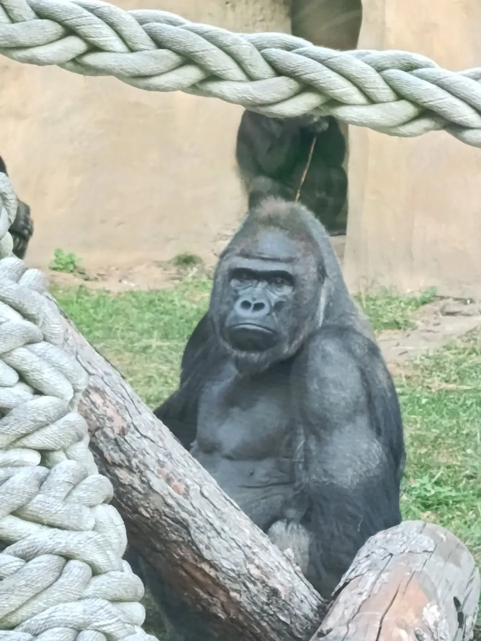 Ты что хотел?