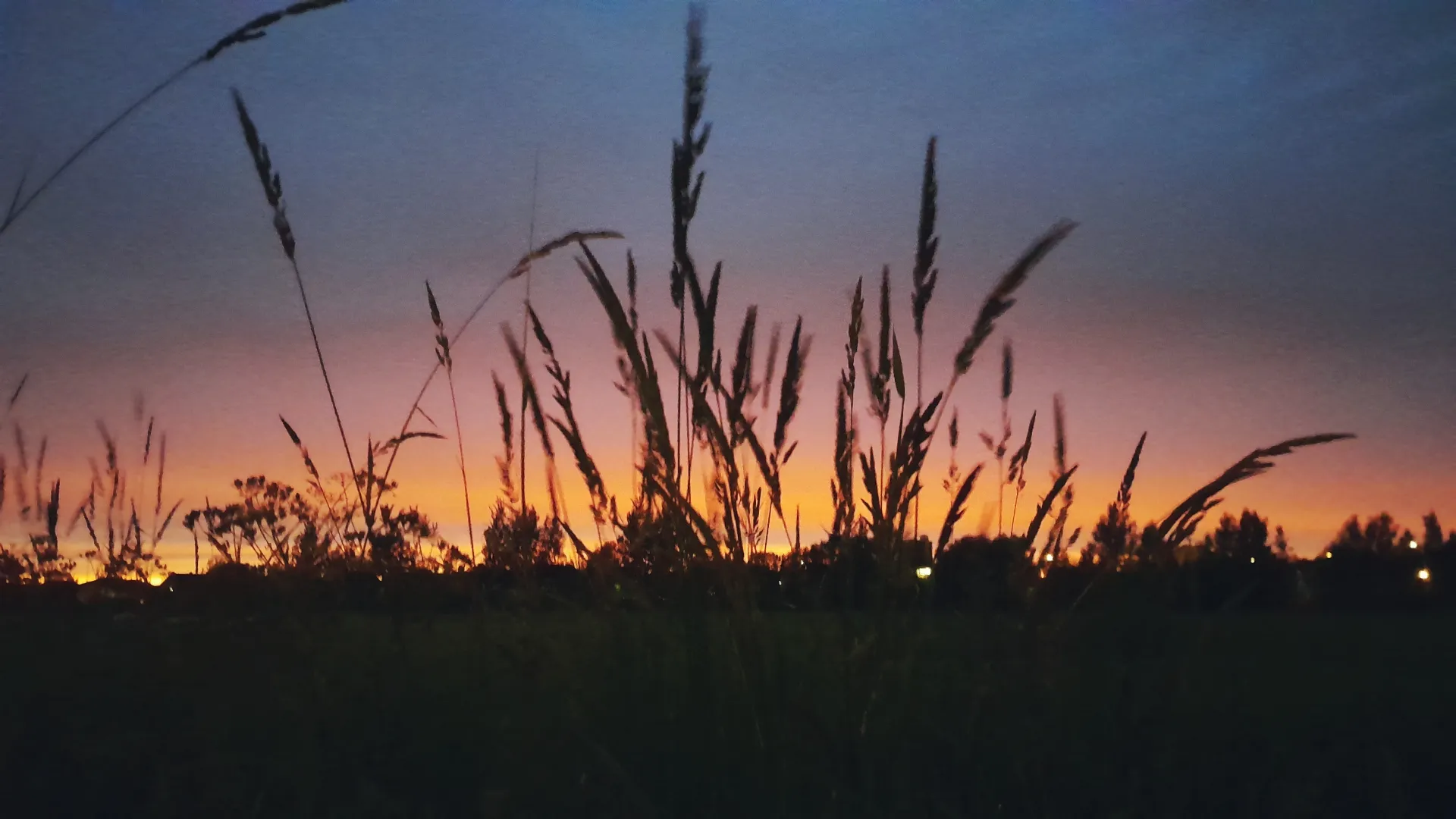 ветер свободы