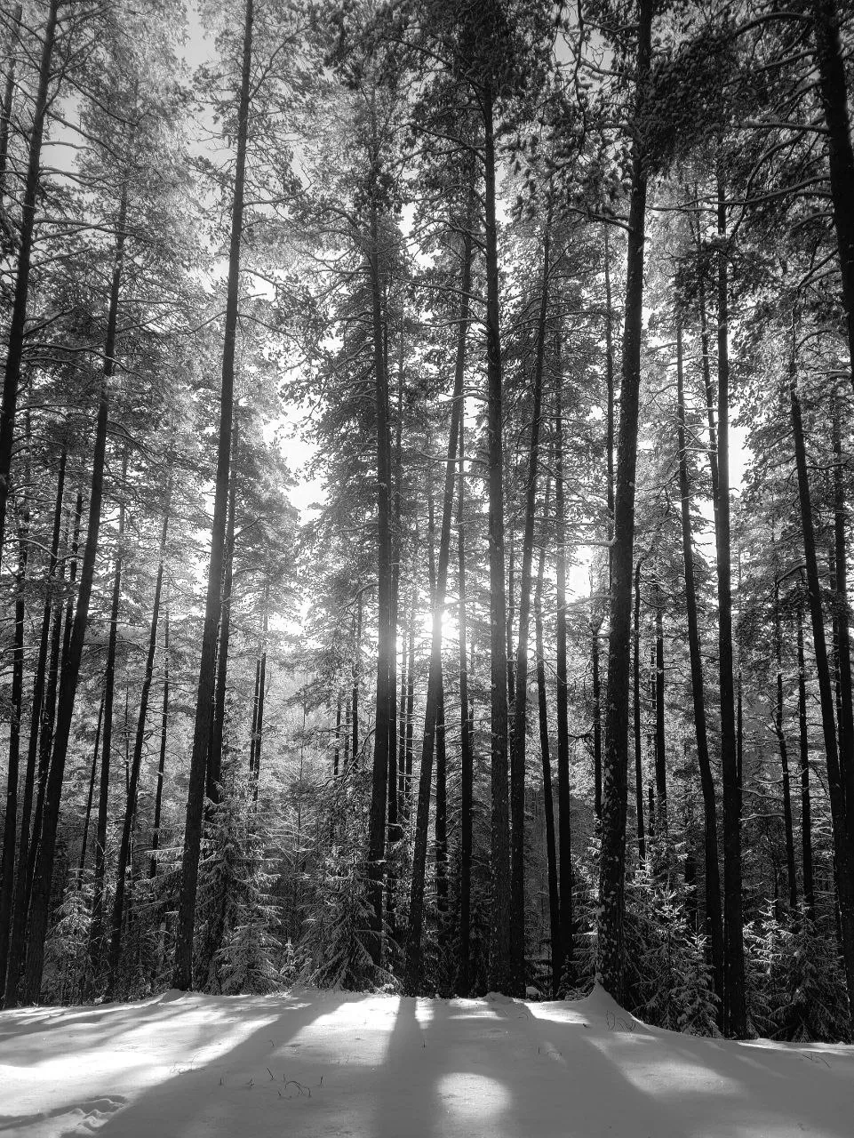 Гряда Вярямянселькя, 01/25