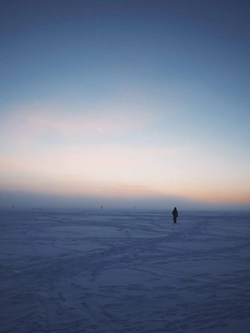 Зимний цвет