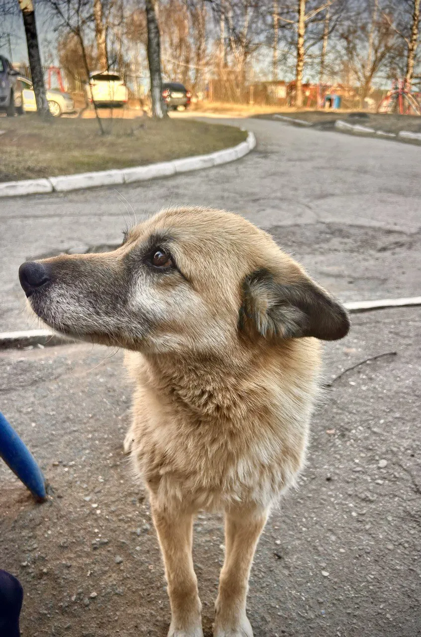 «Эти глаза не лгут»