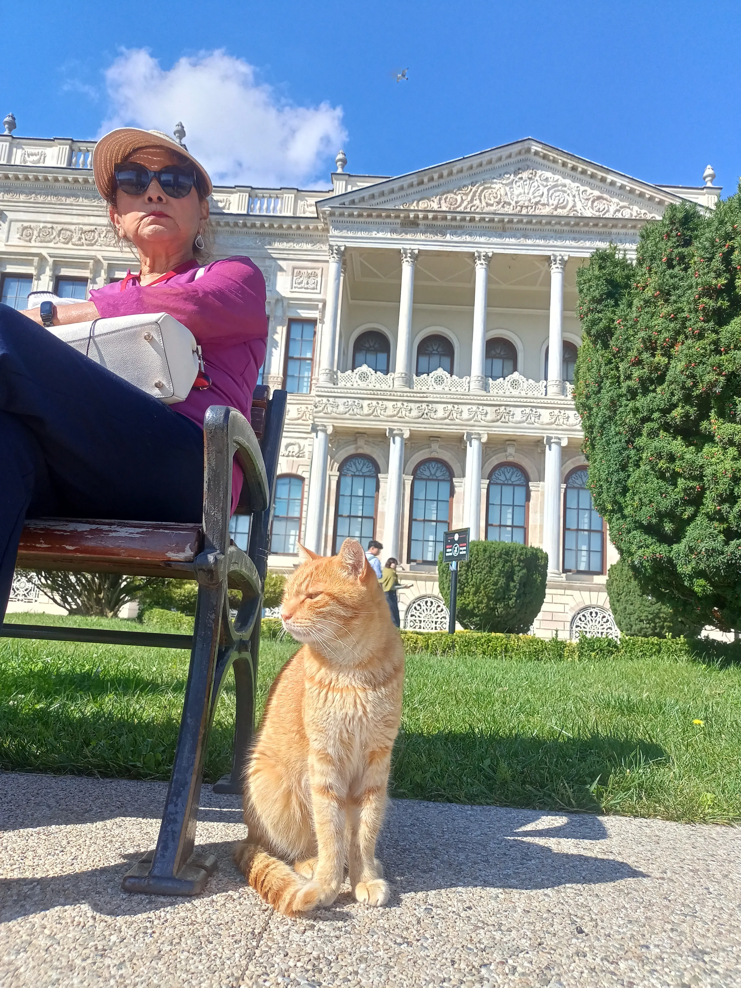 Идеальная пара