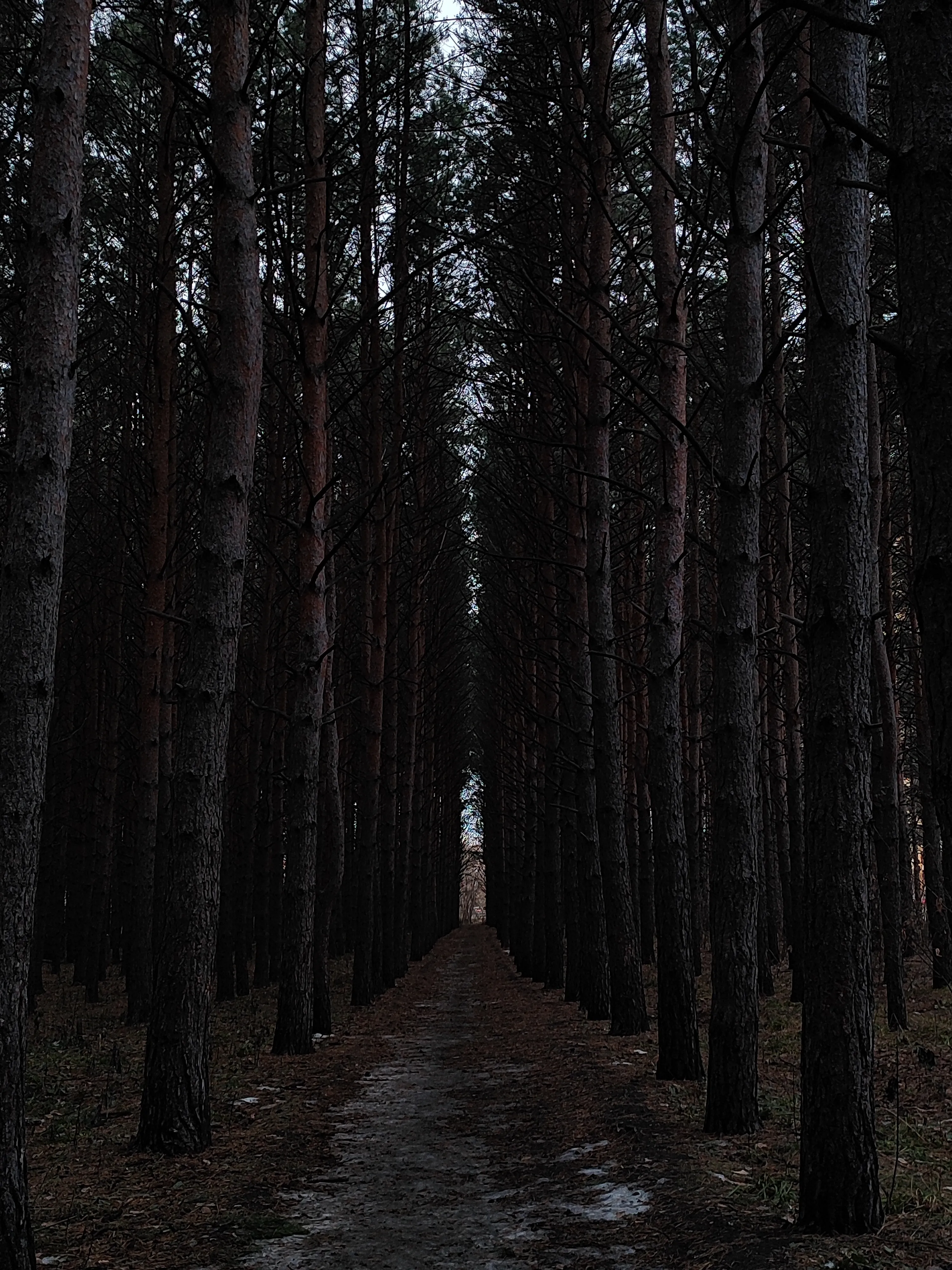 Не имеющий конца.