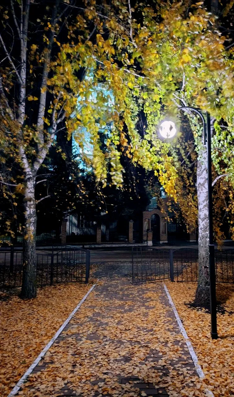 Ночная прогулка