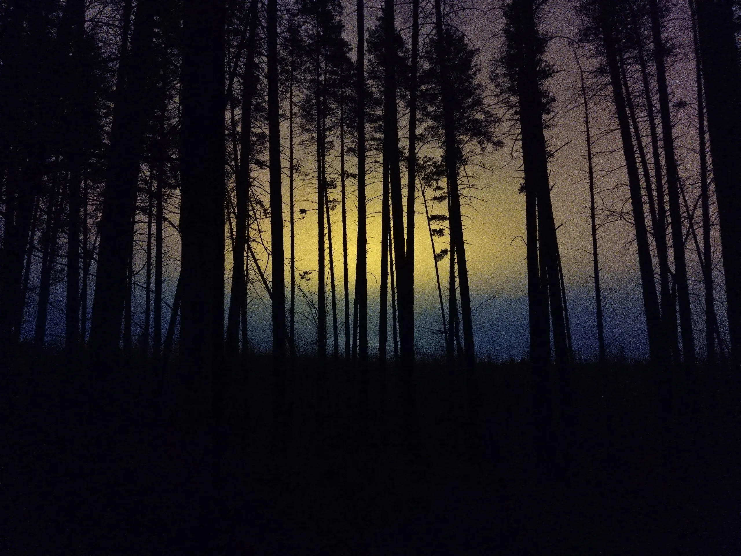 Дыхание севера