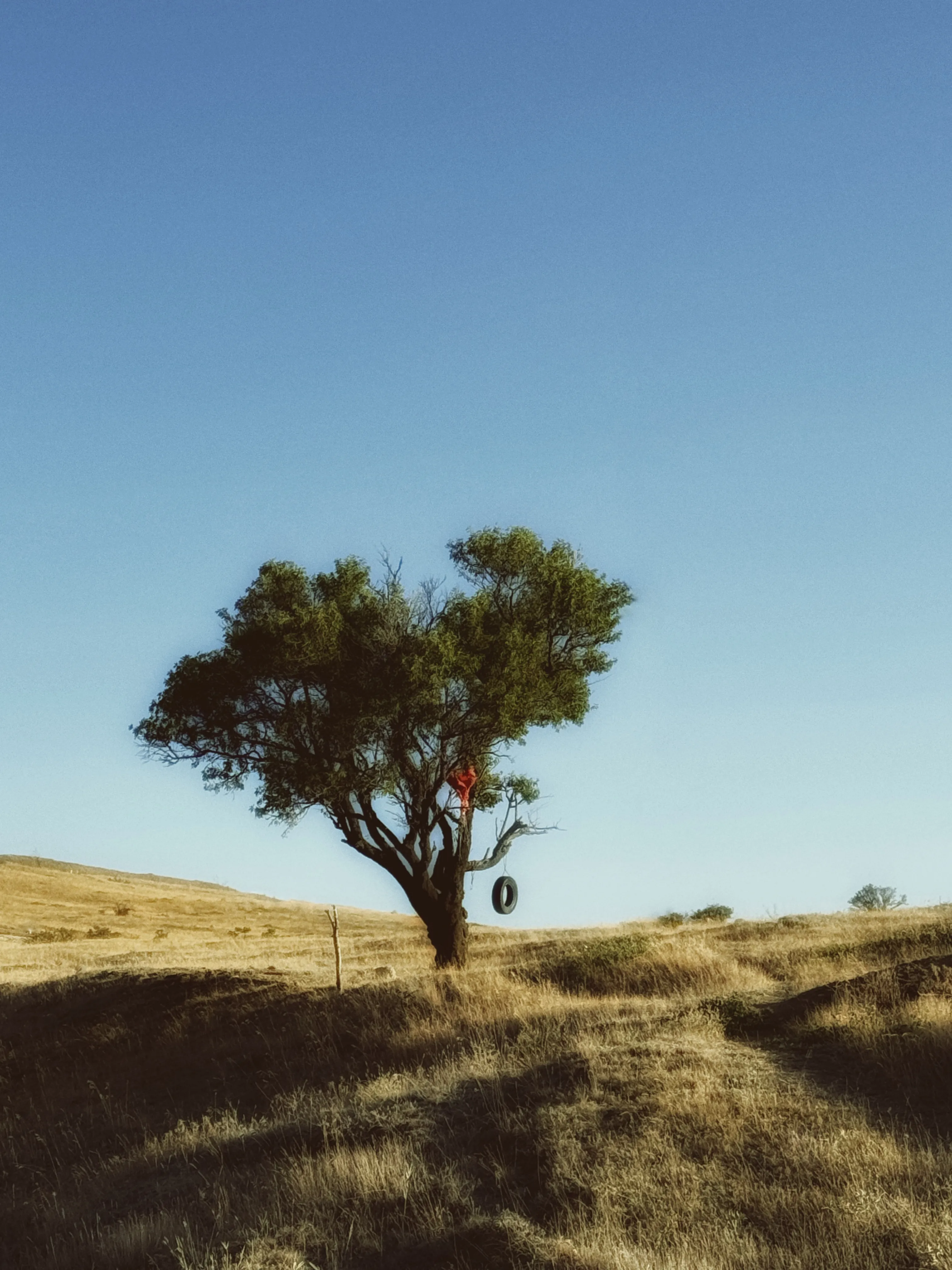 Безмятежное детство