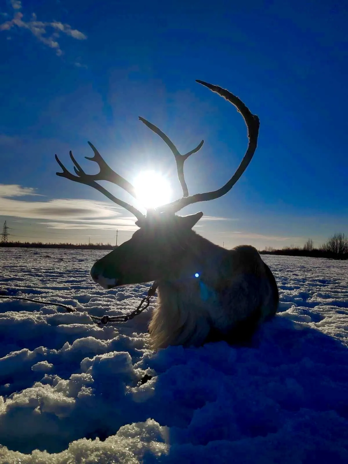В лучах заката