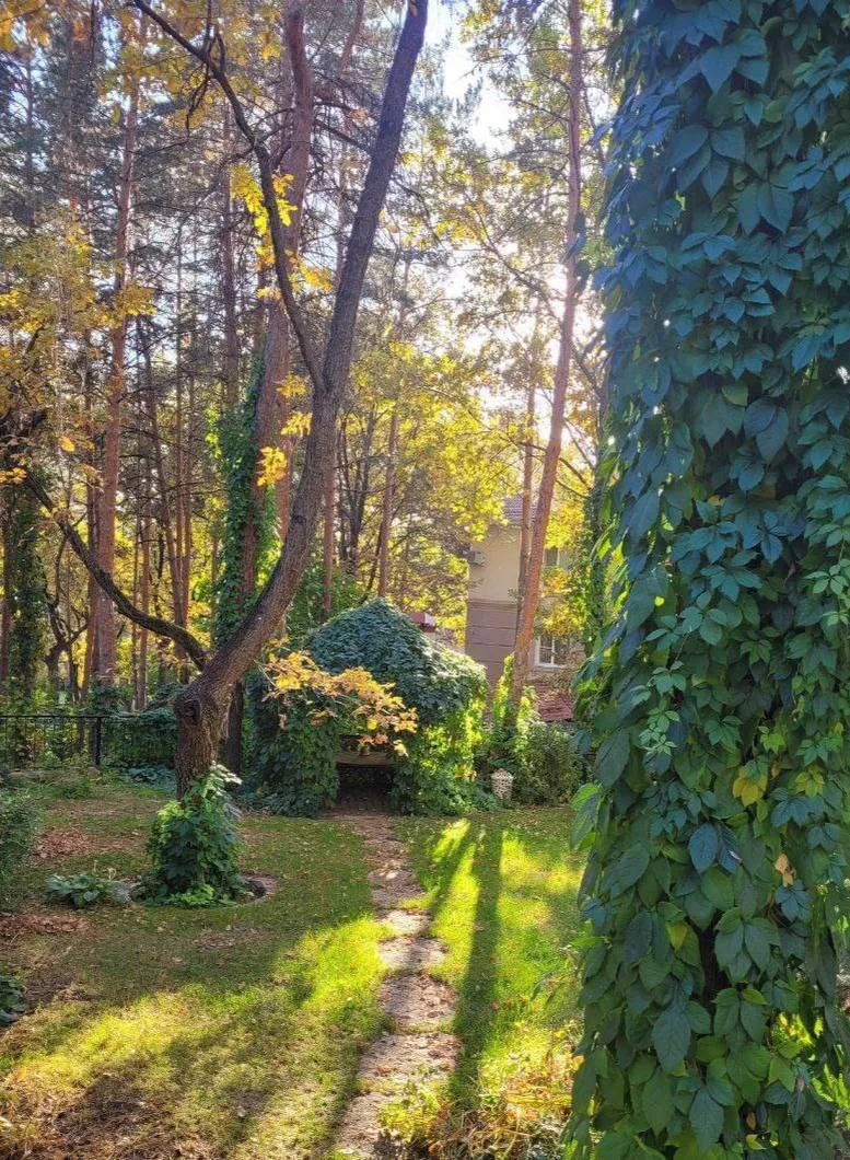 Осень в разных городах