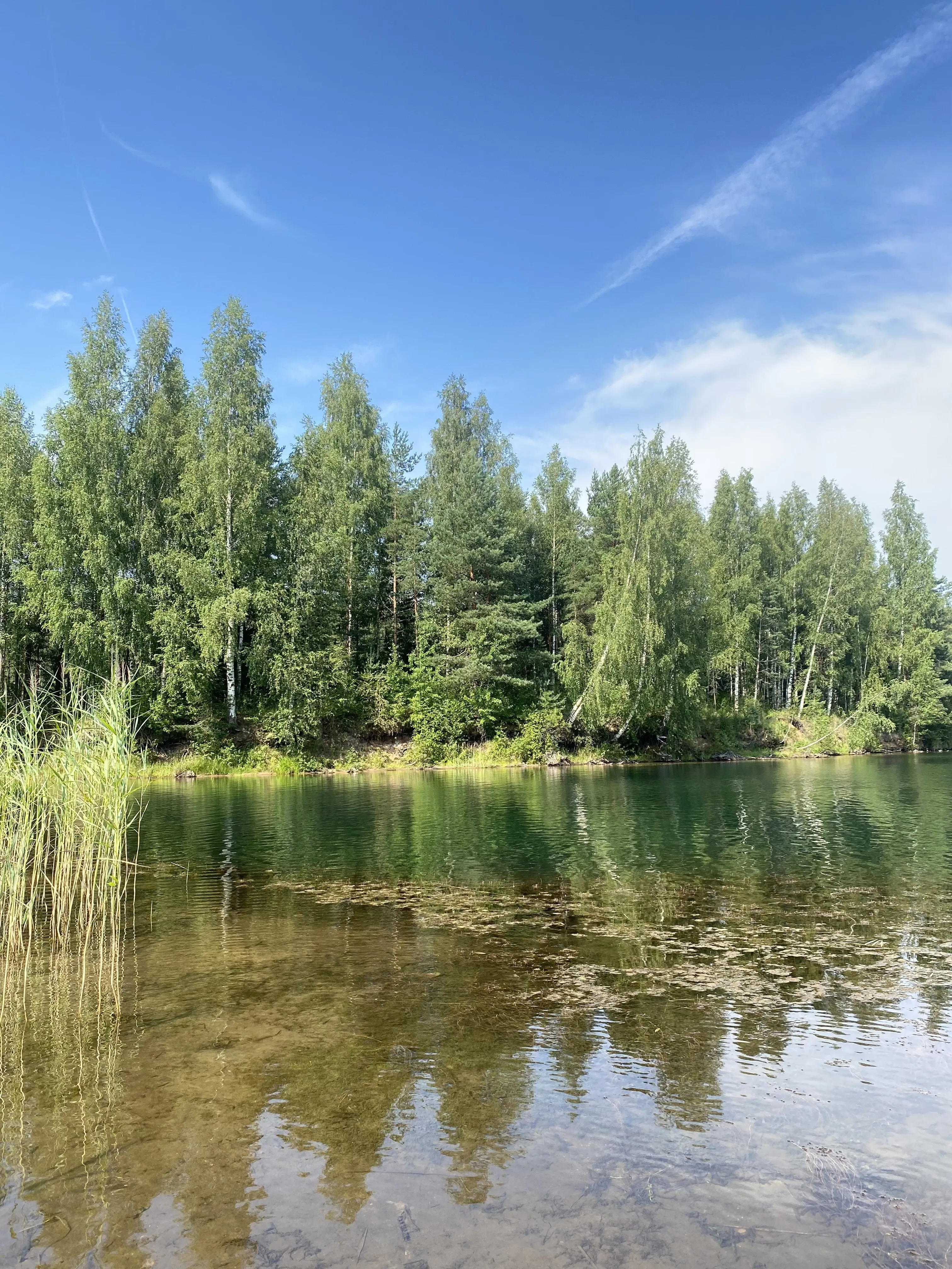 Летняя нега