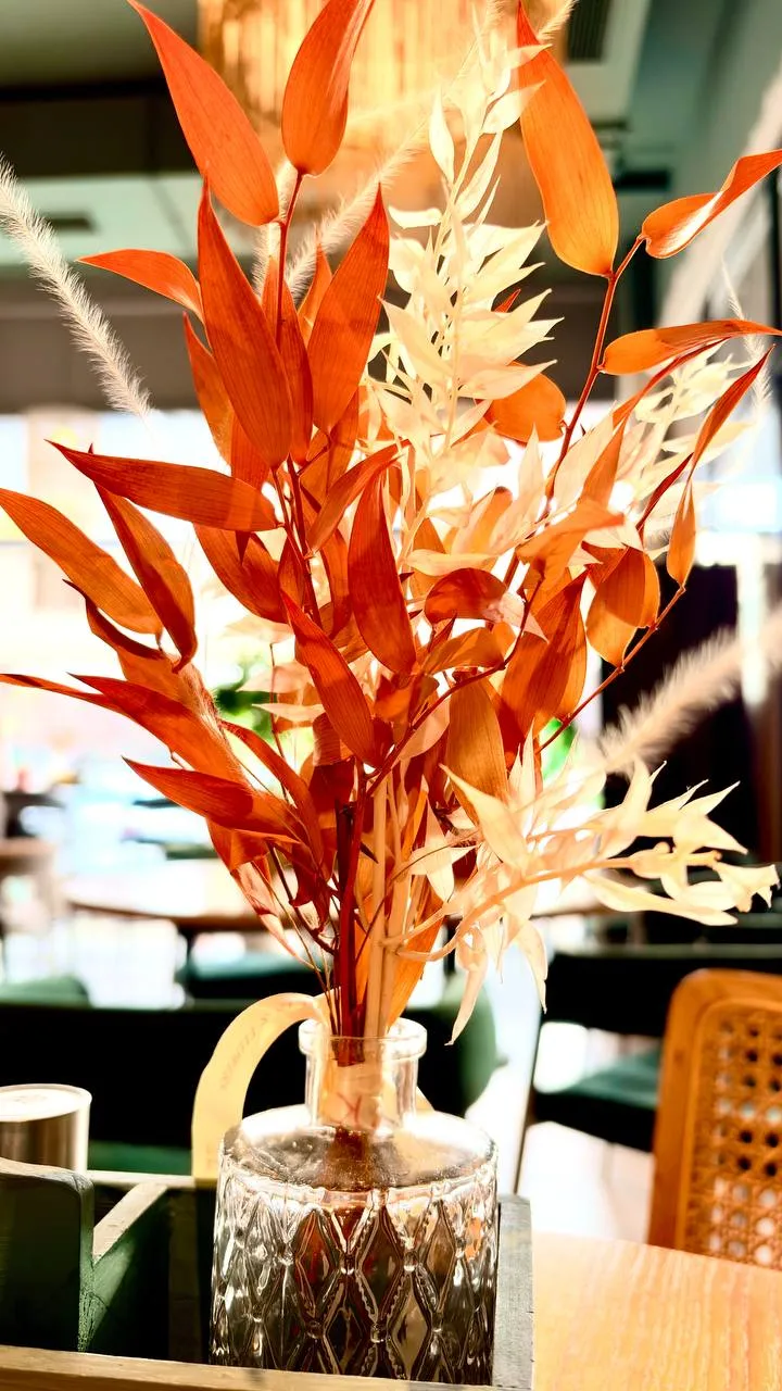 Застывшая красота в кофейне