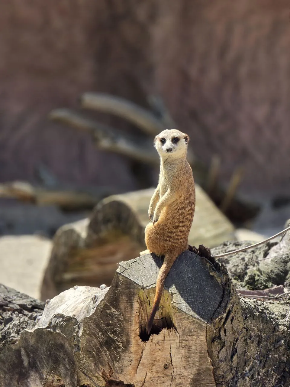 Ну здрасьте!