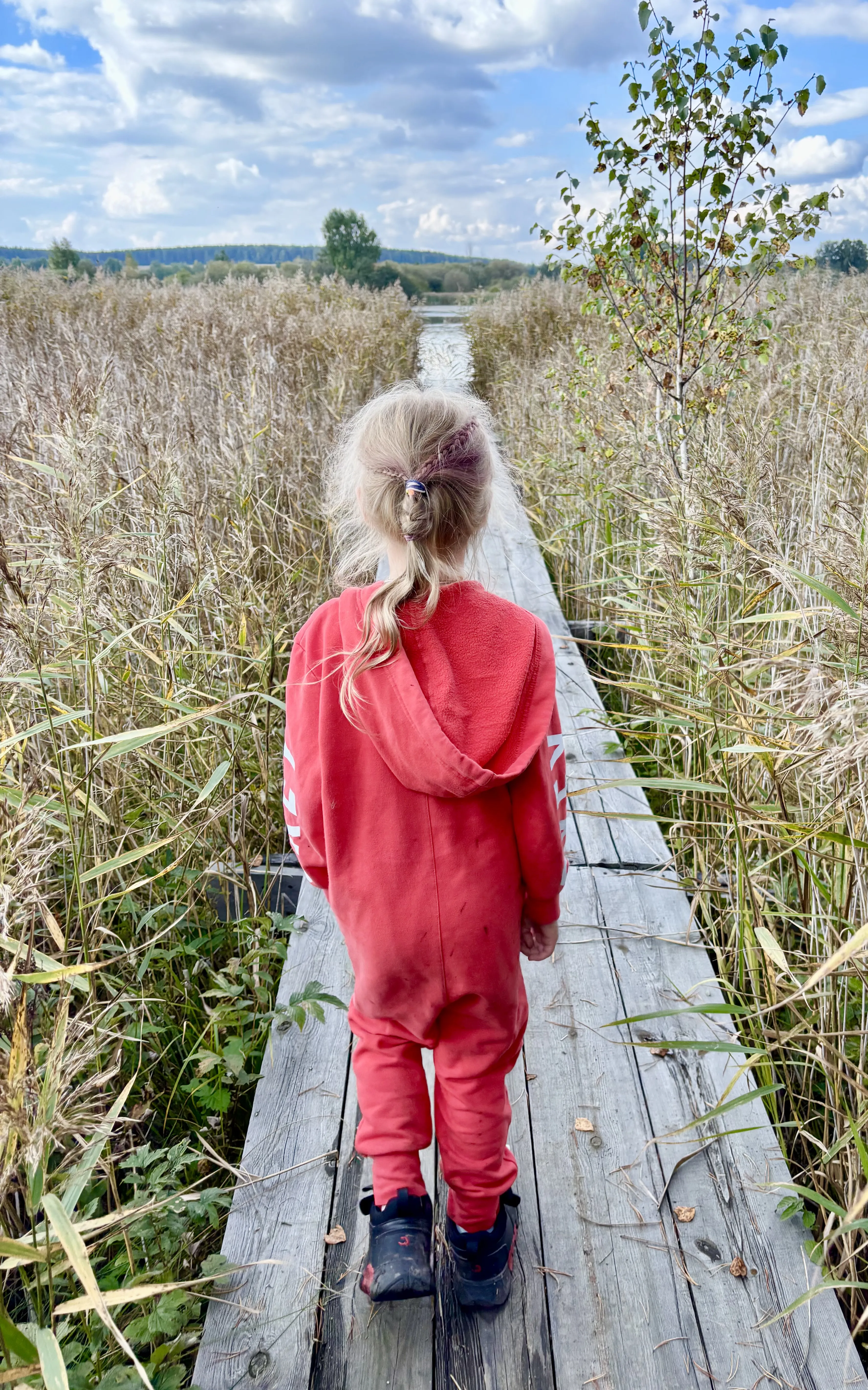 Прекрасное далеко