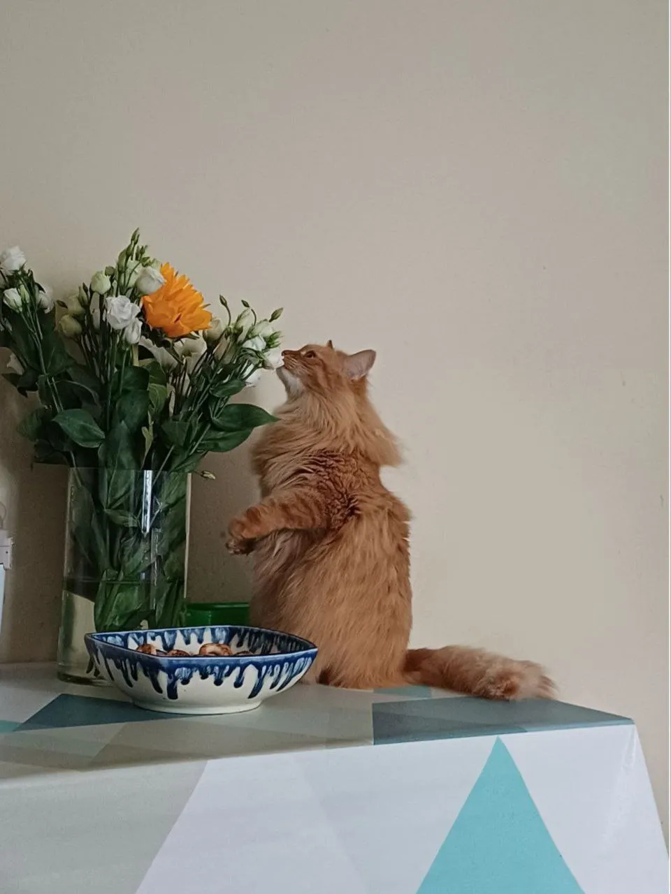 Почему ты пахнешь как весна?