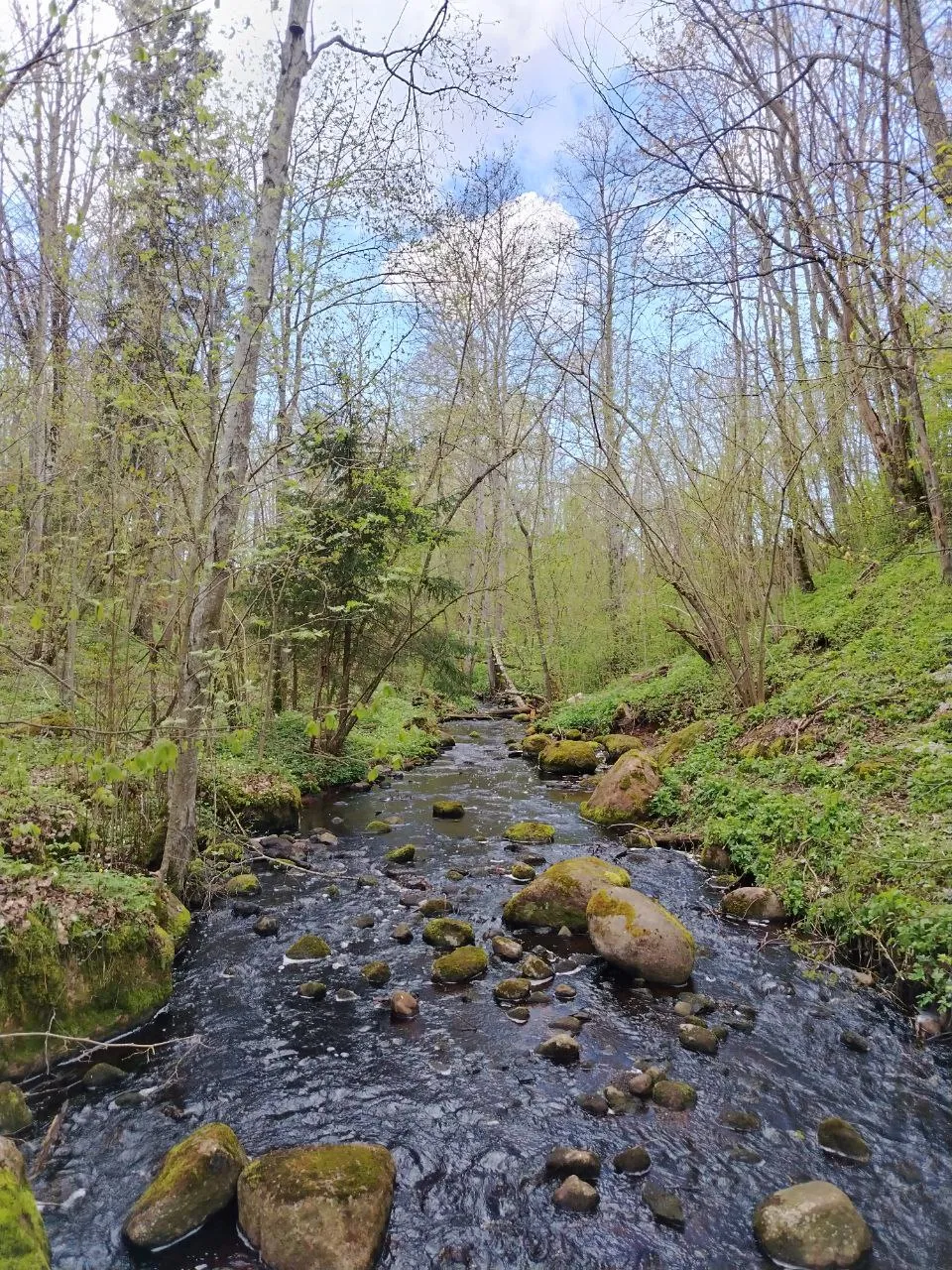 Спокойно на душе