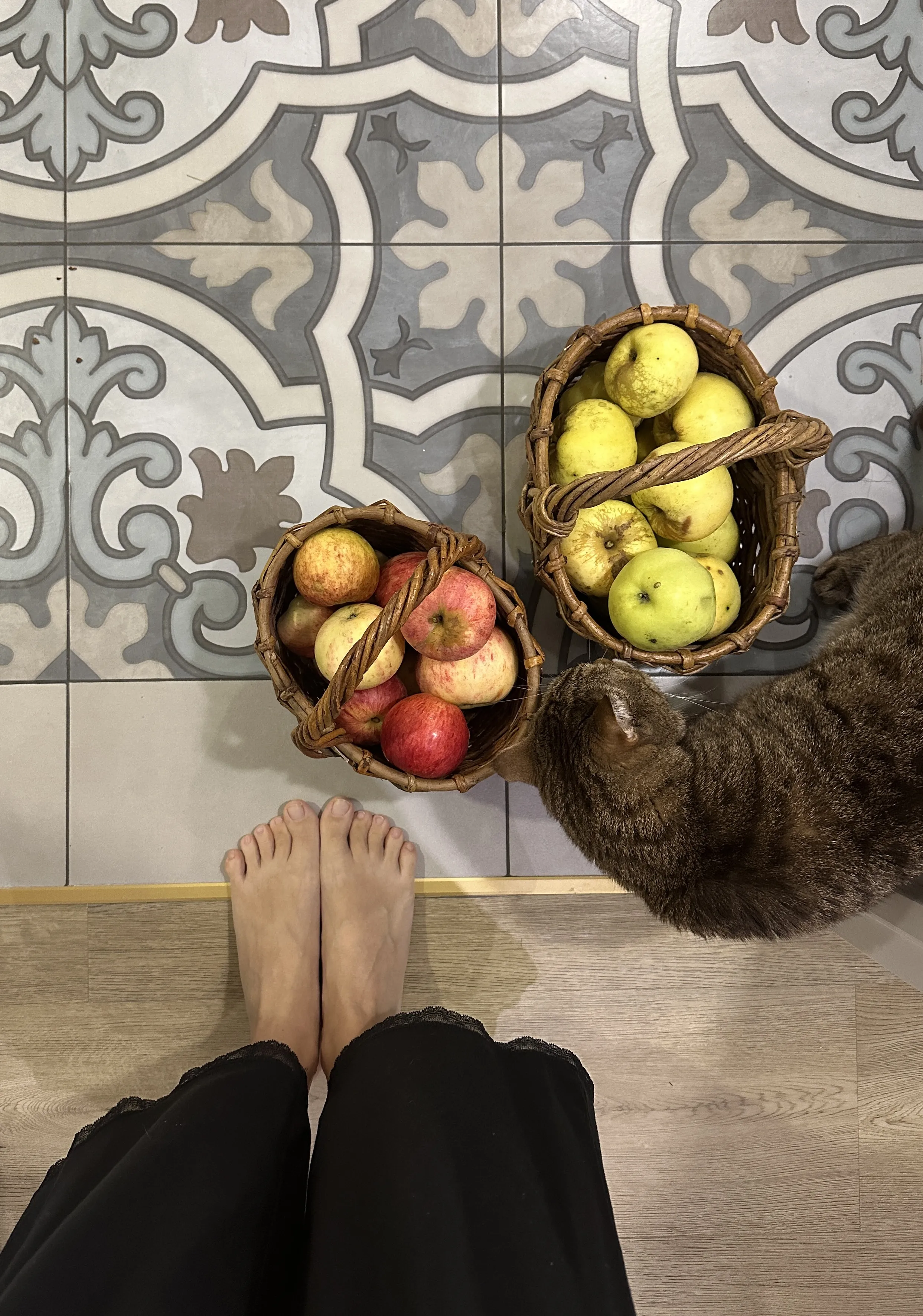 Родители приехали