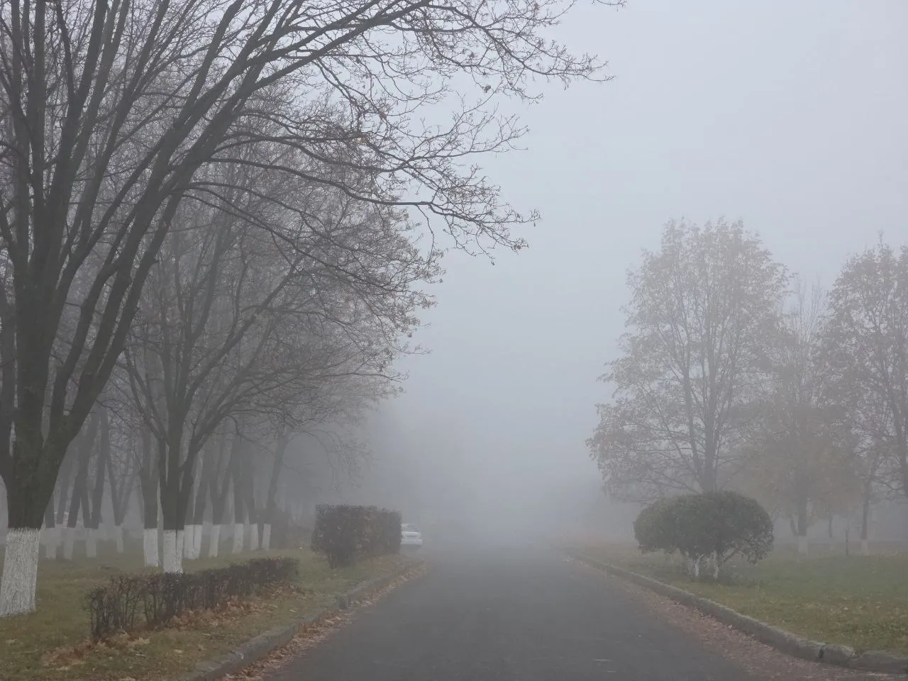 Осеннее туманное.