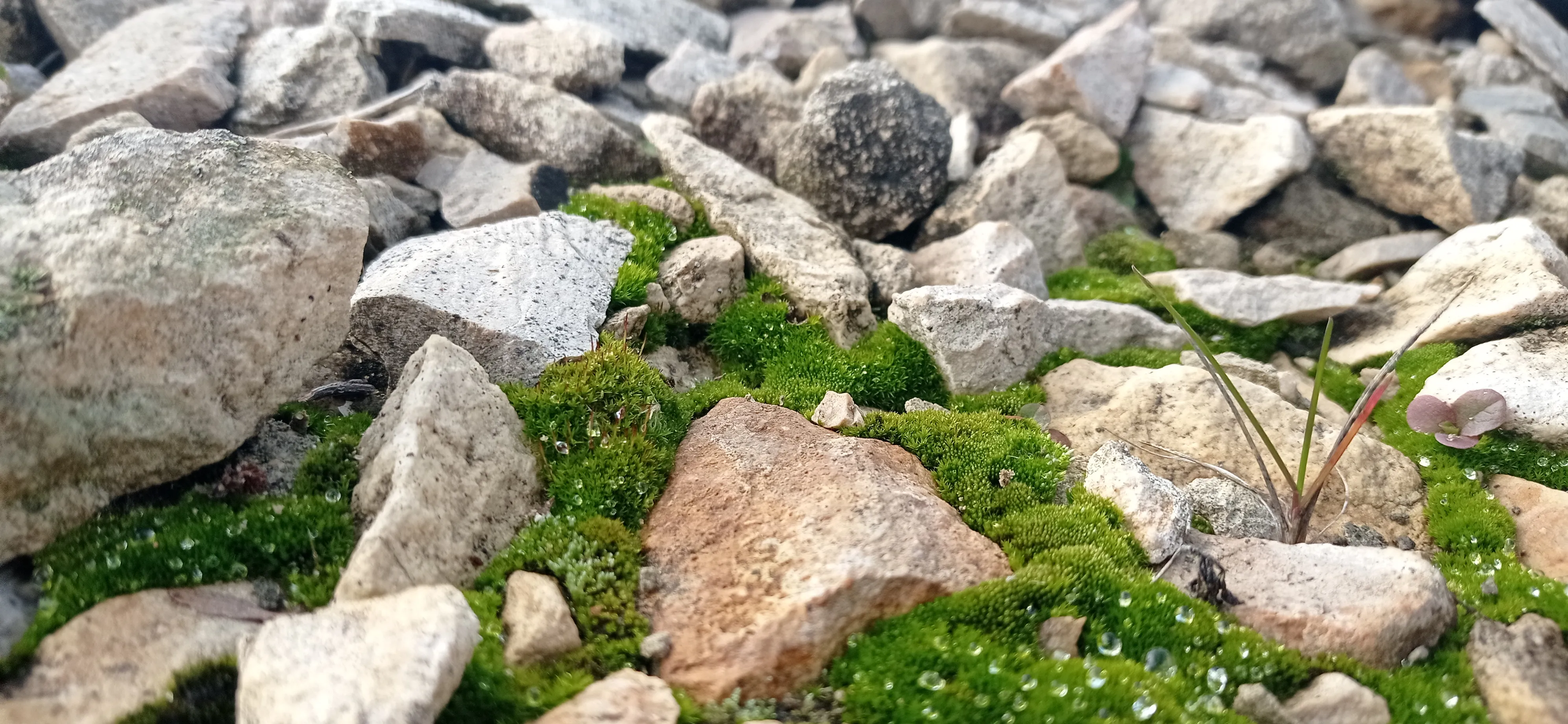 Волшебные скалы.