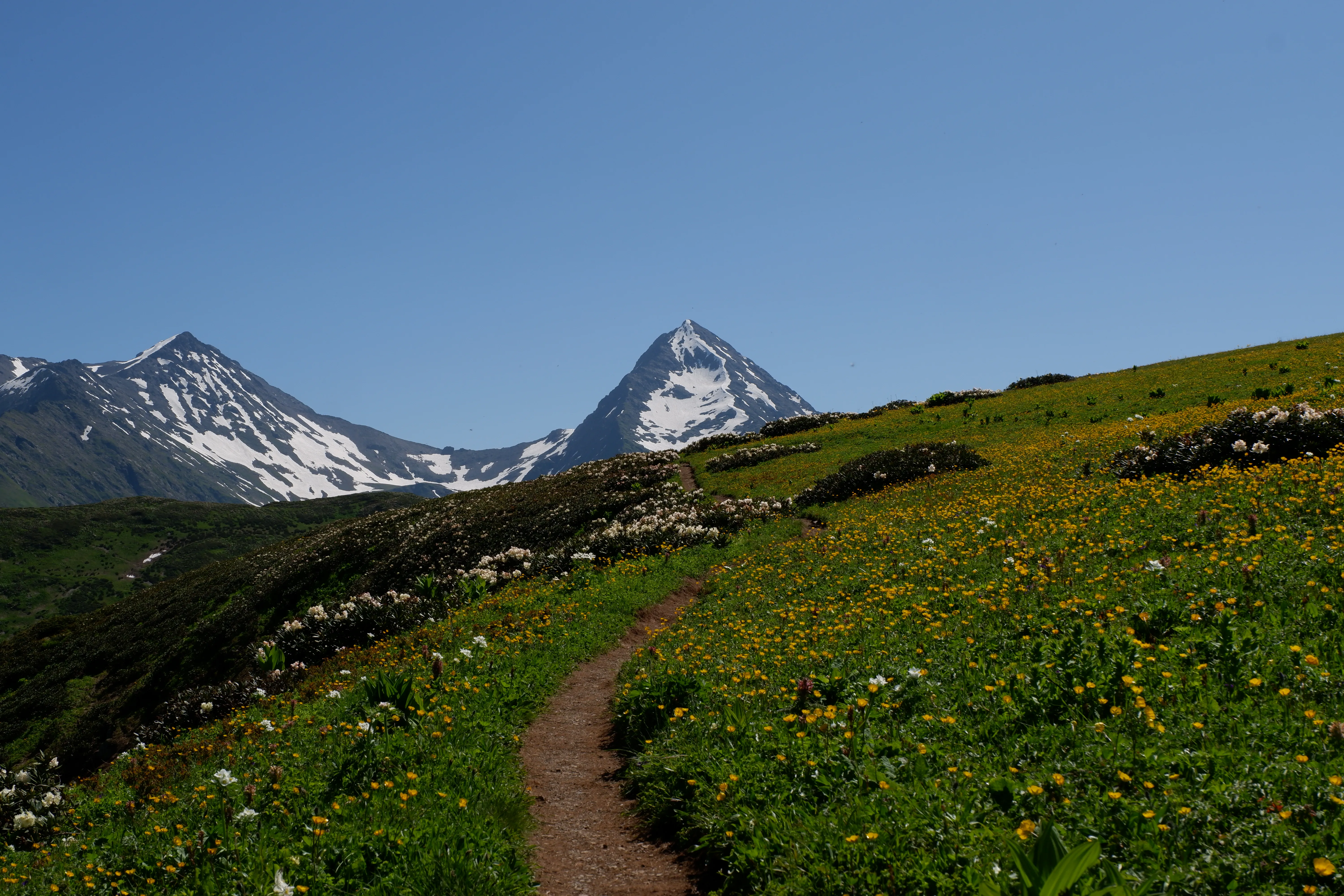 Тропинка в небо