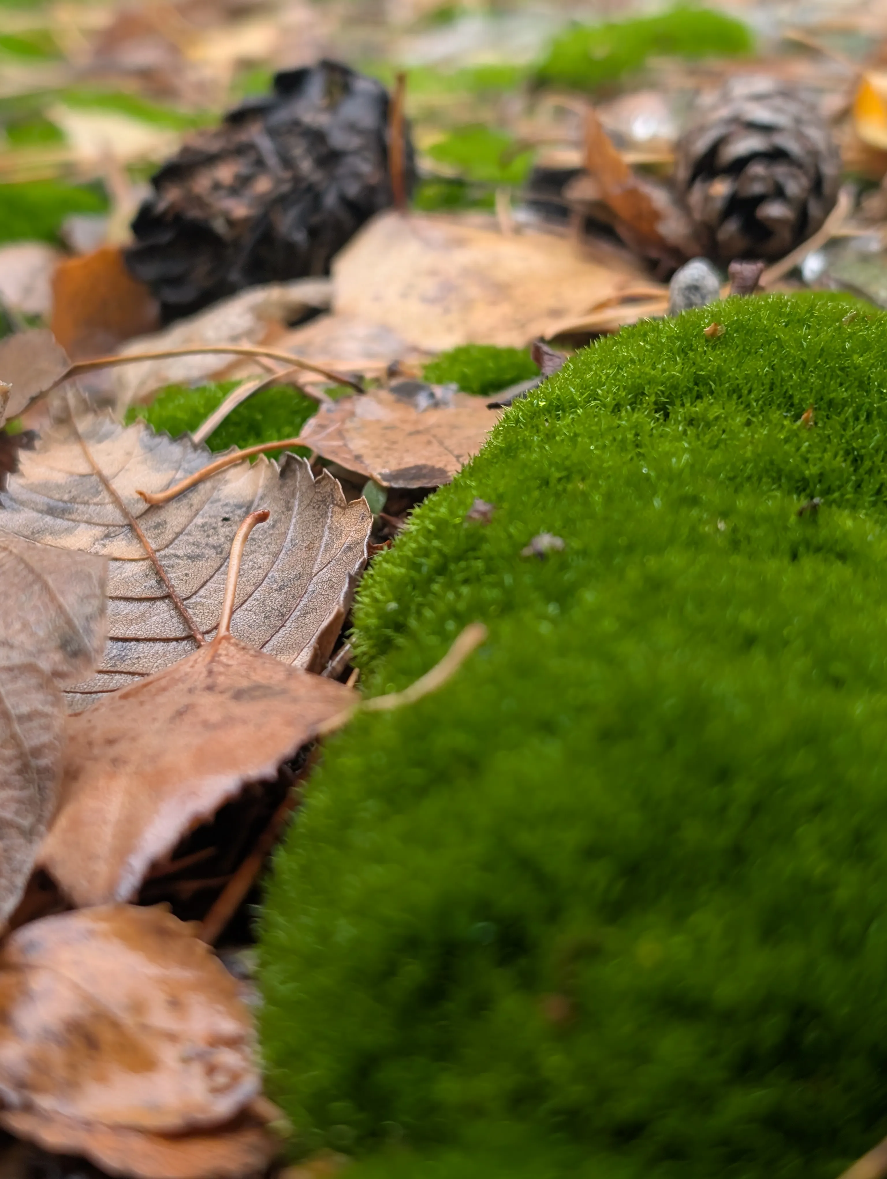 Макро мир - удивительная вещь.