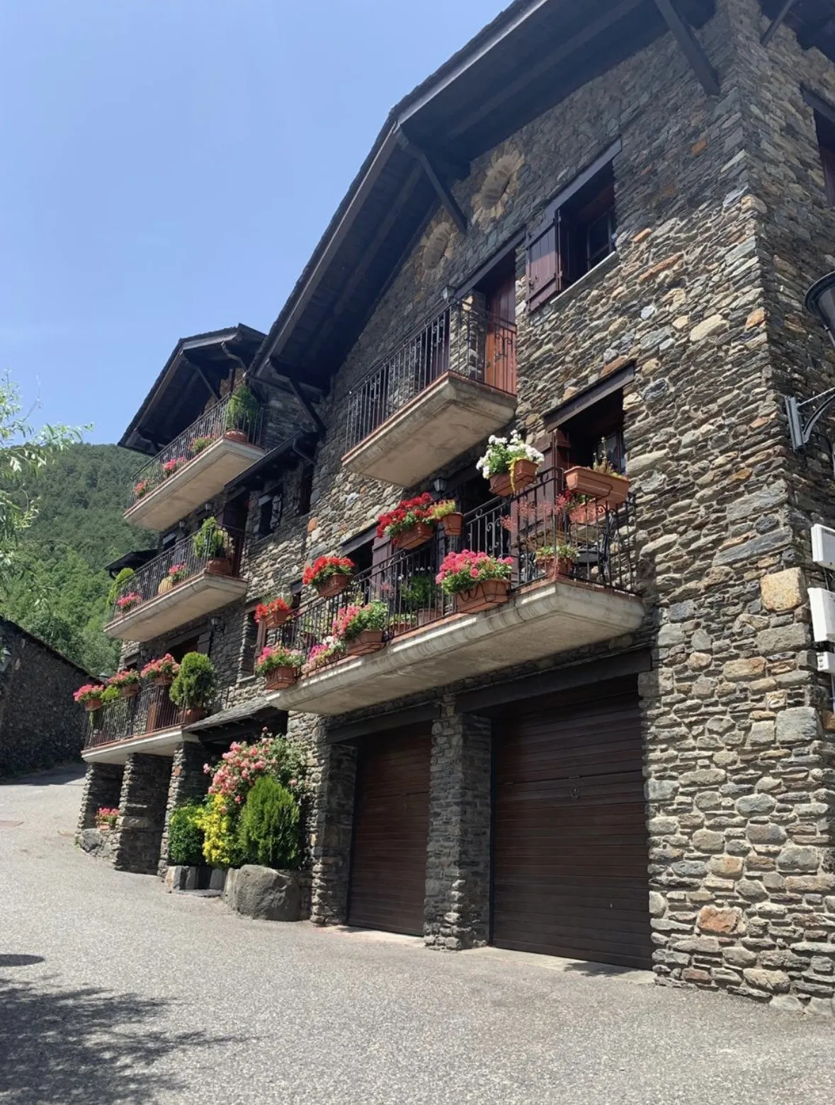 Цветущий фасад