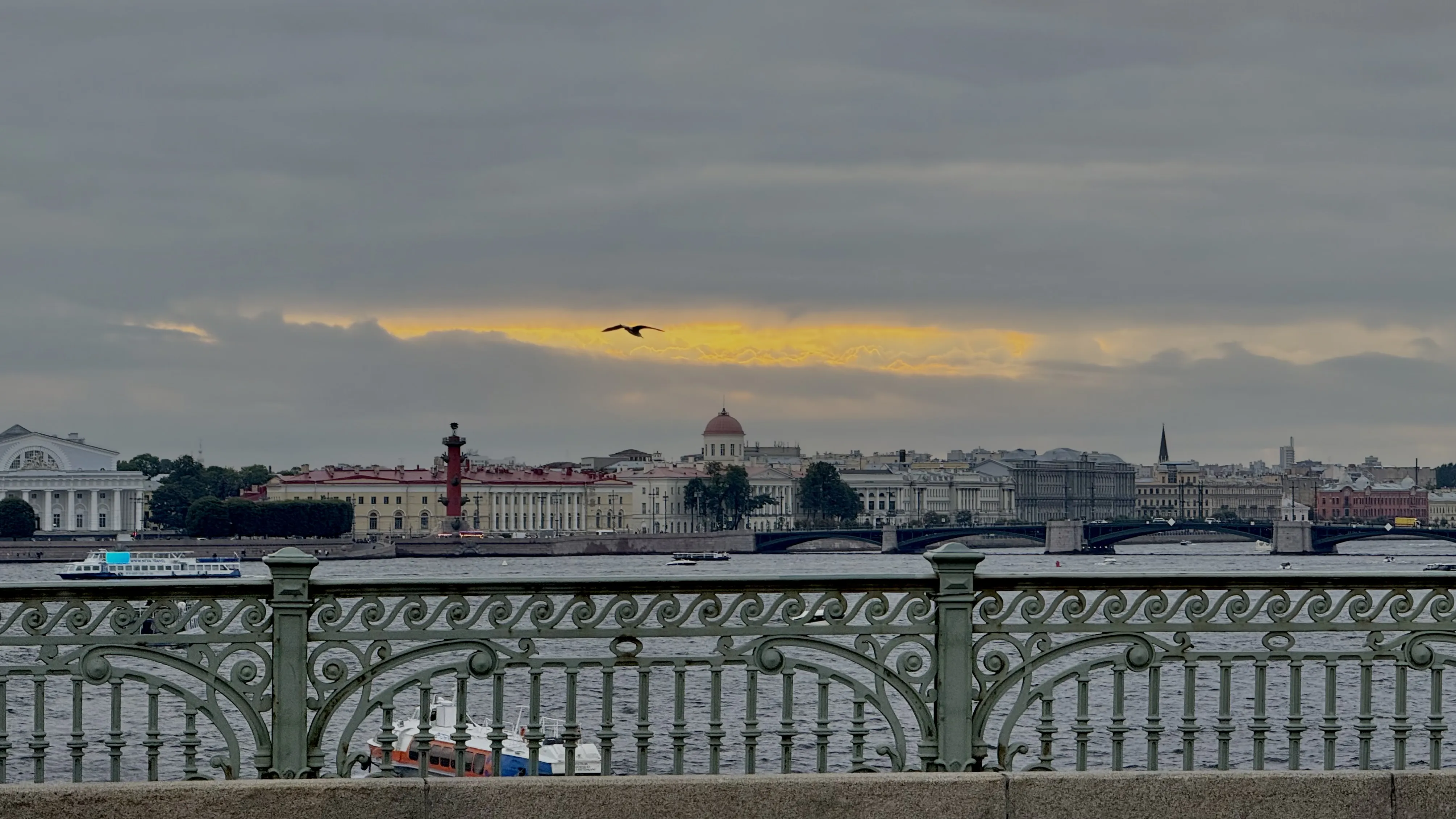 Небо, чайка, Нева