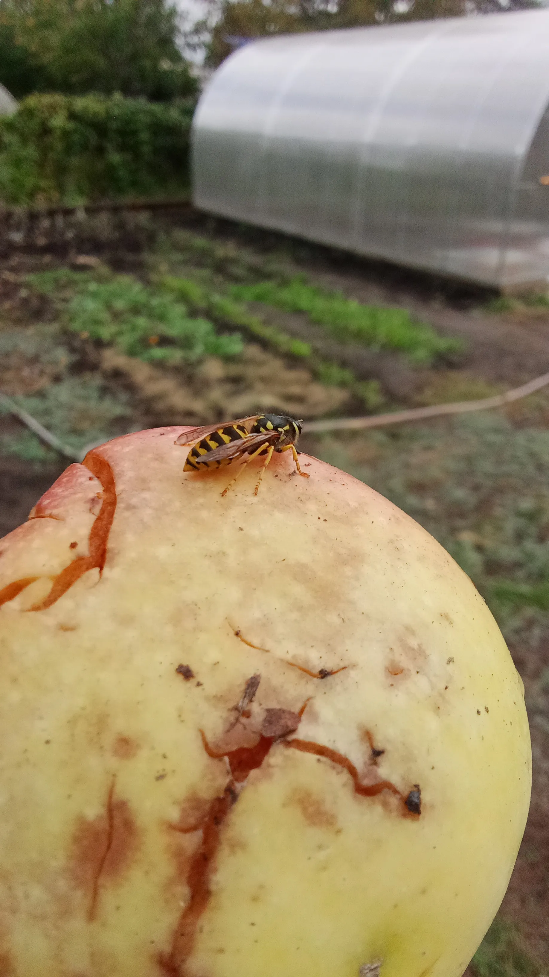 Попробуй отними!!!