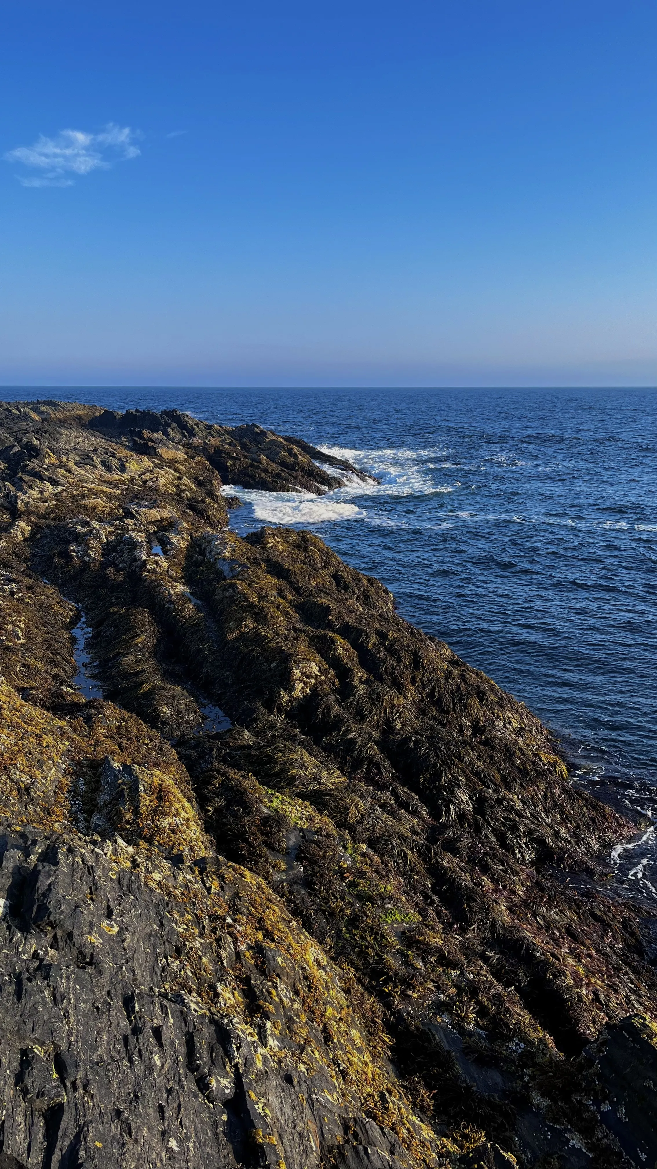 На краю света