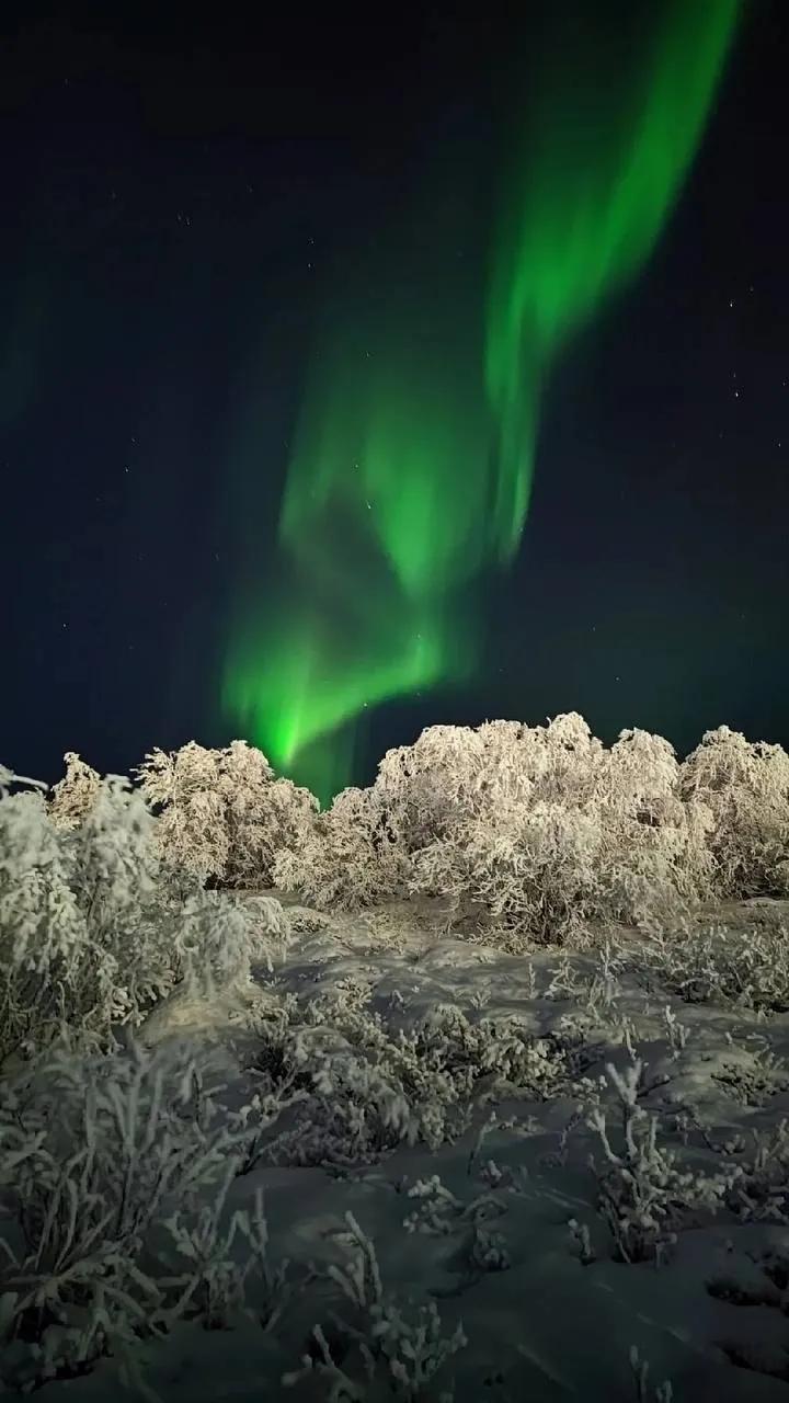 Северный танец небесного сияния
