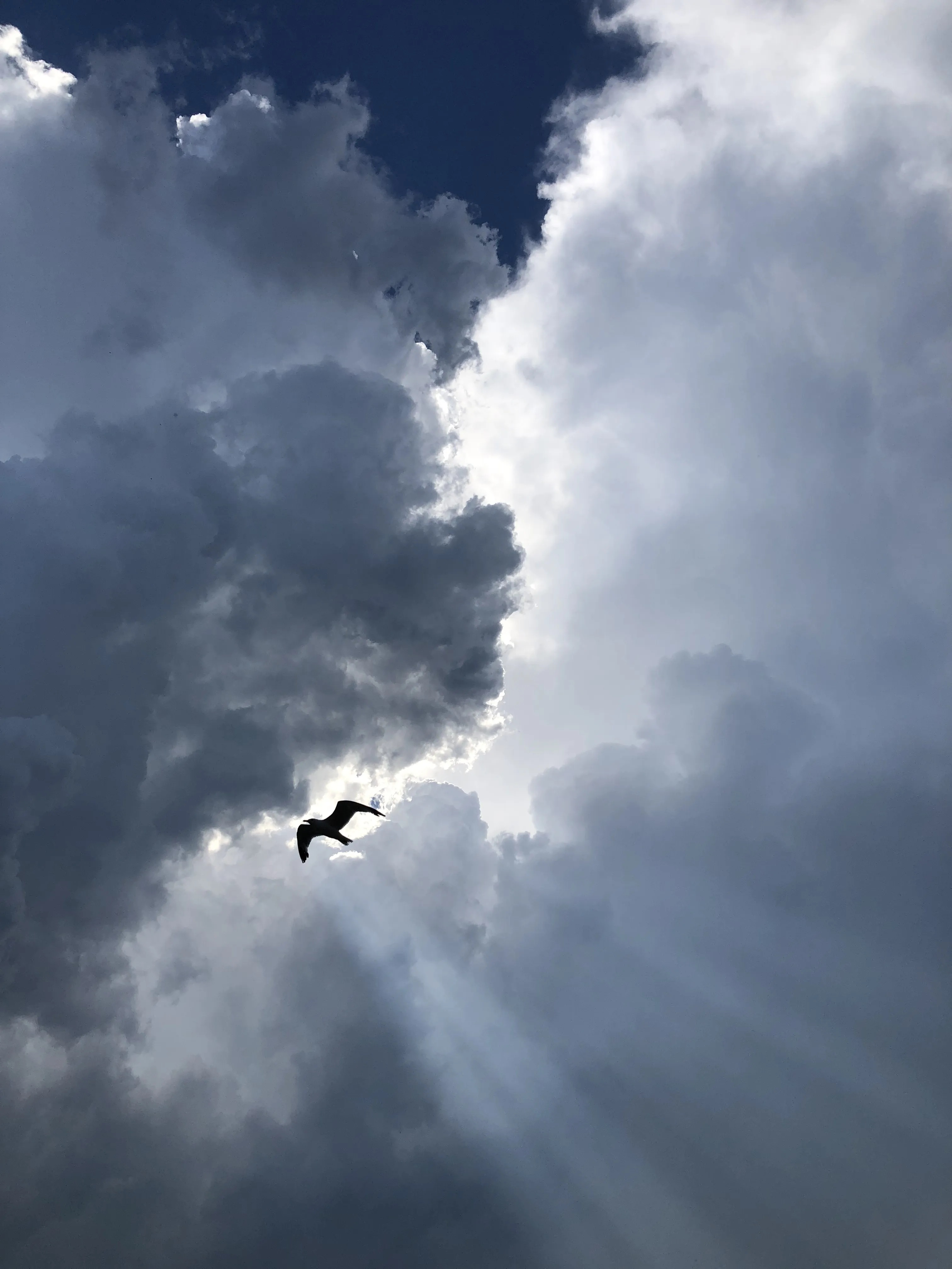 Путь под солнцем