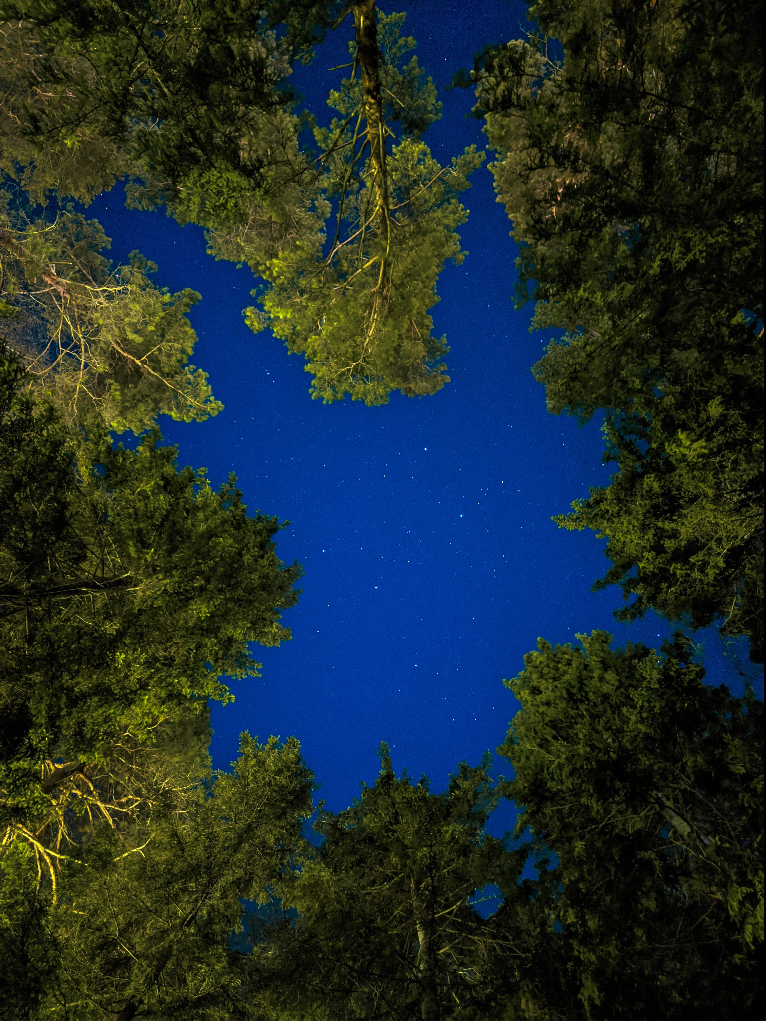 Звёздный каридор