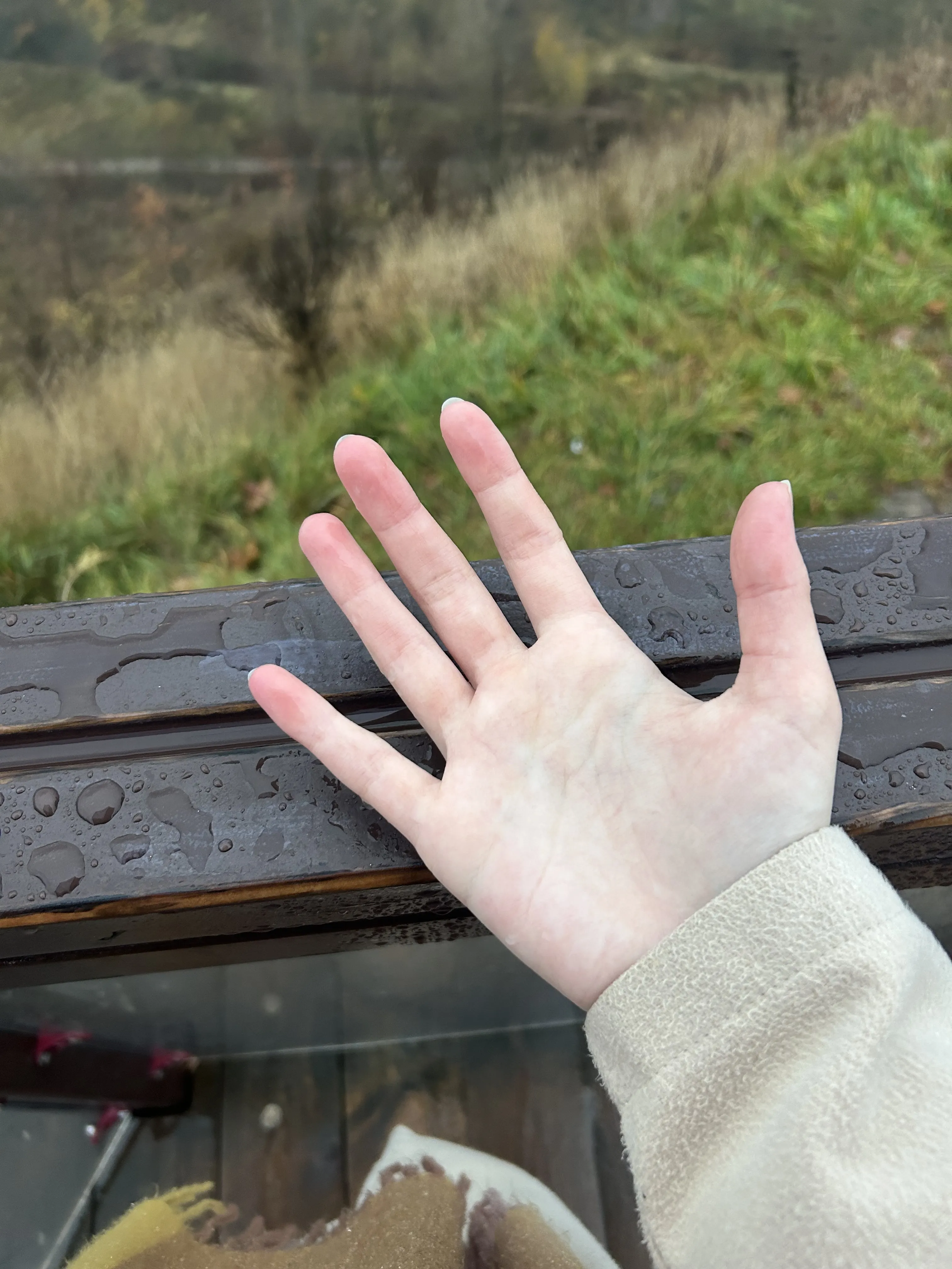 Как на ладони