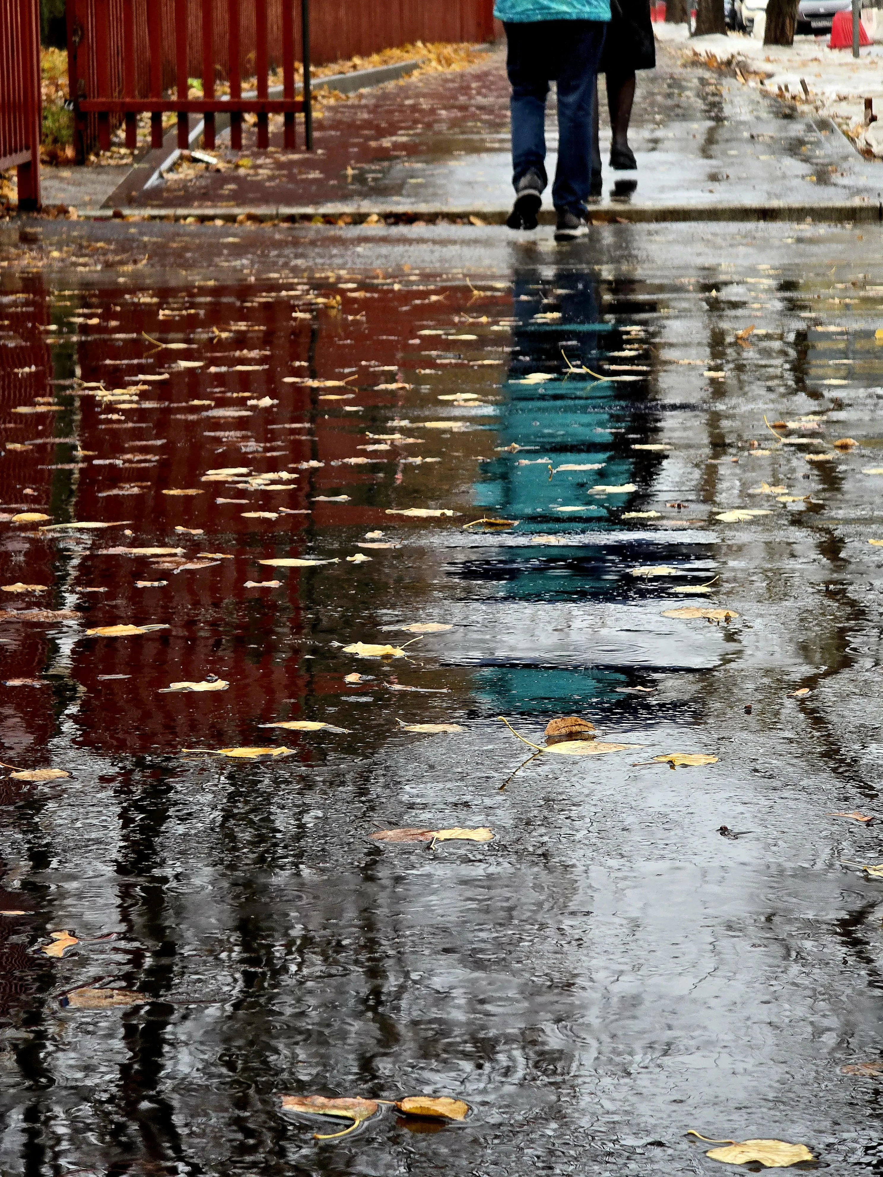 Осенний флёр