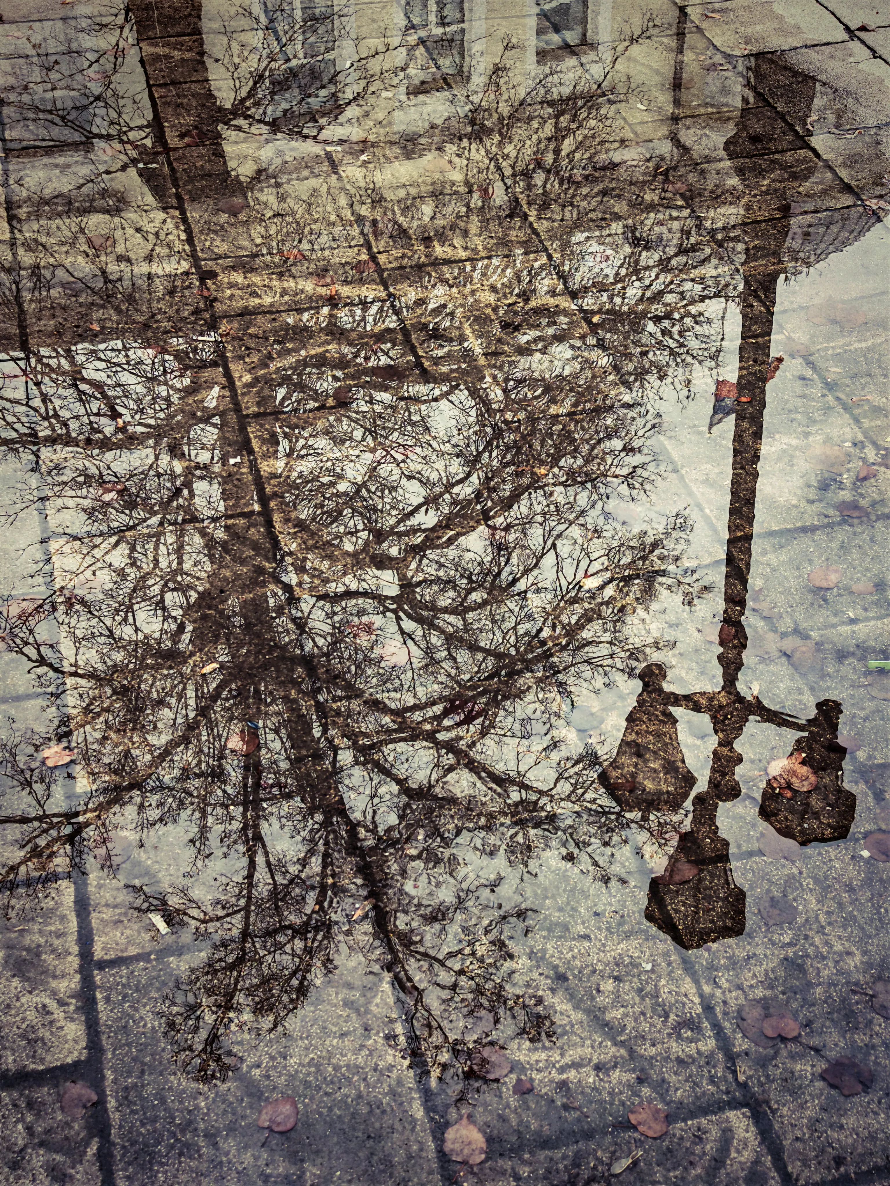 Зыбкость зазеркалья