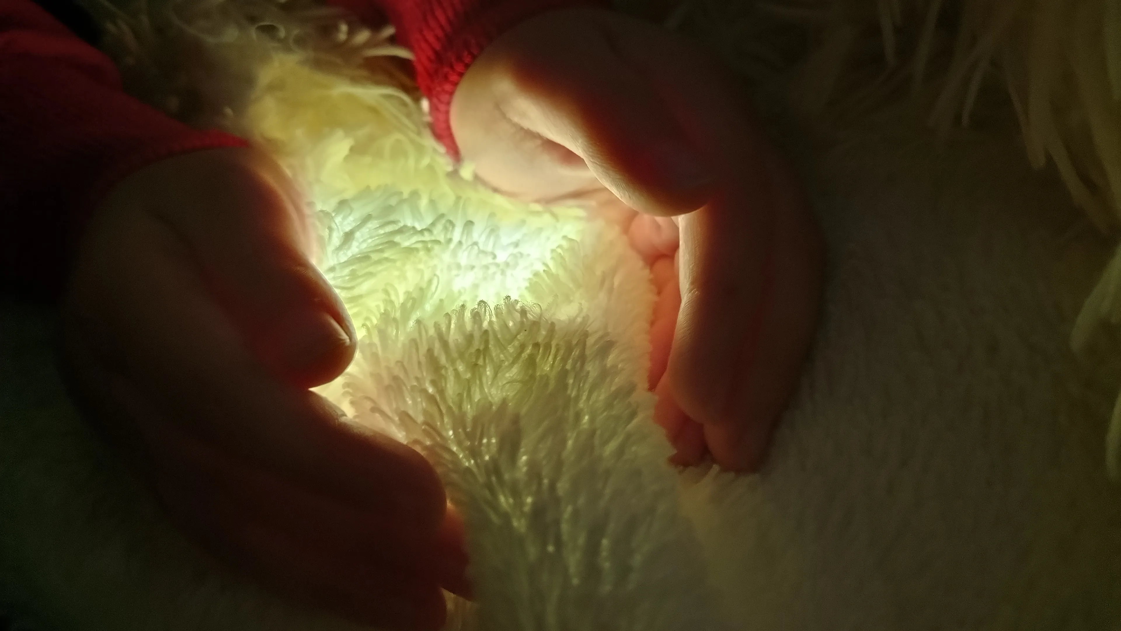 Волшебство?