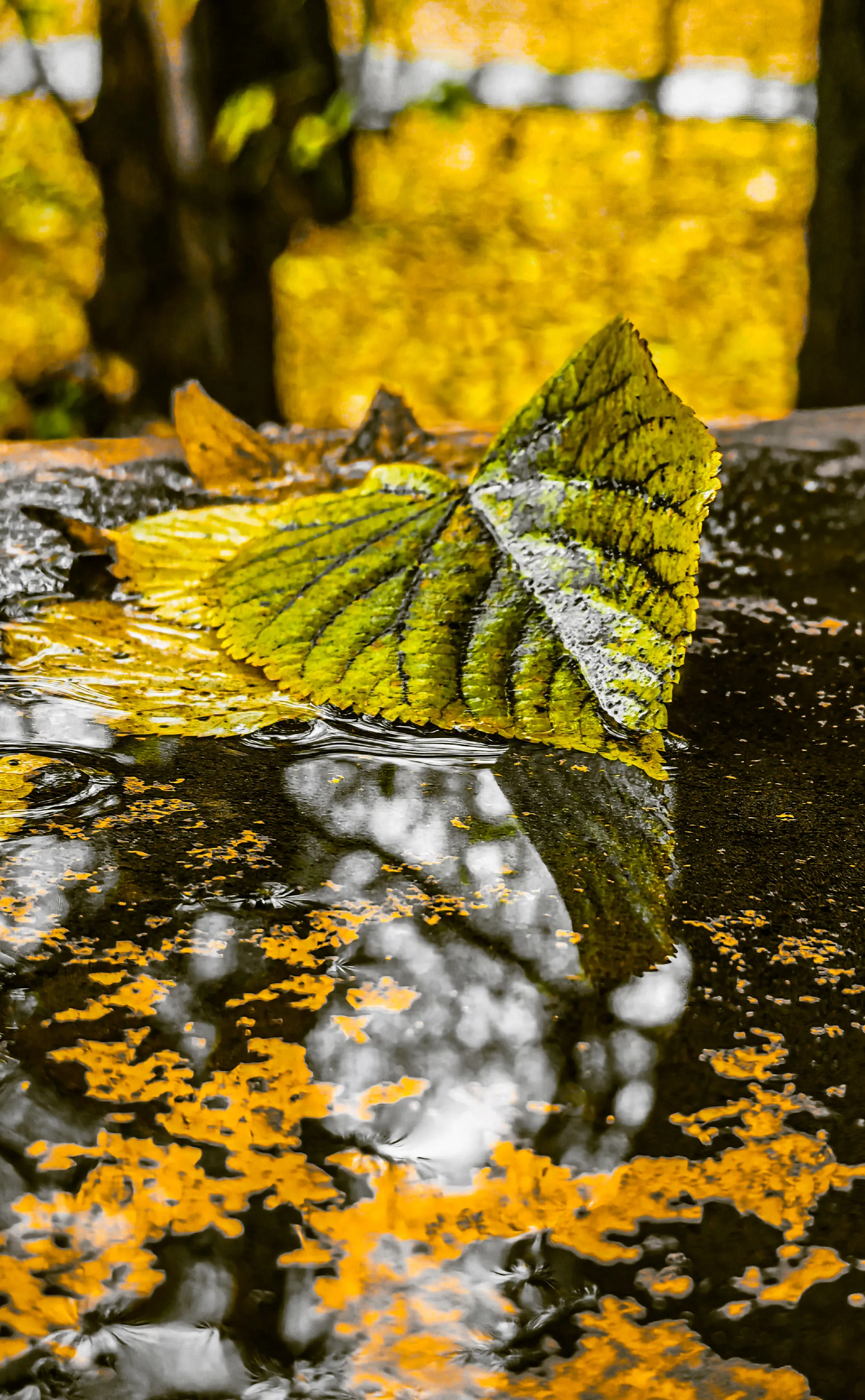 Банальность