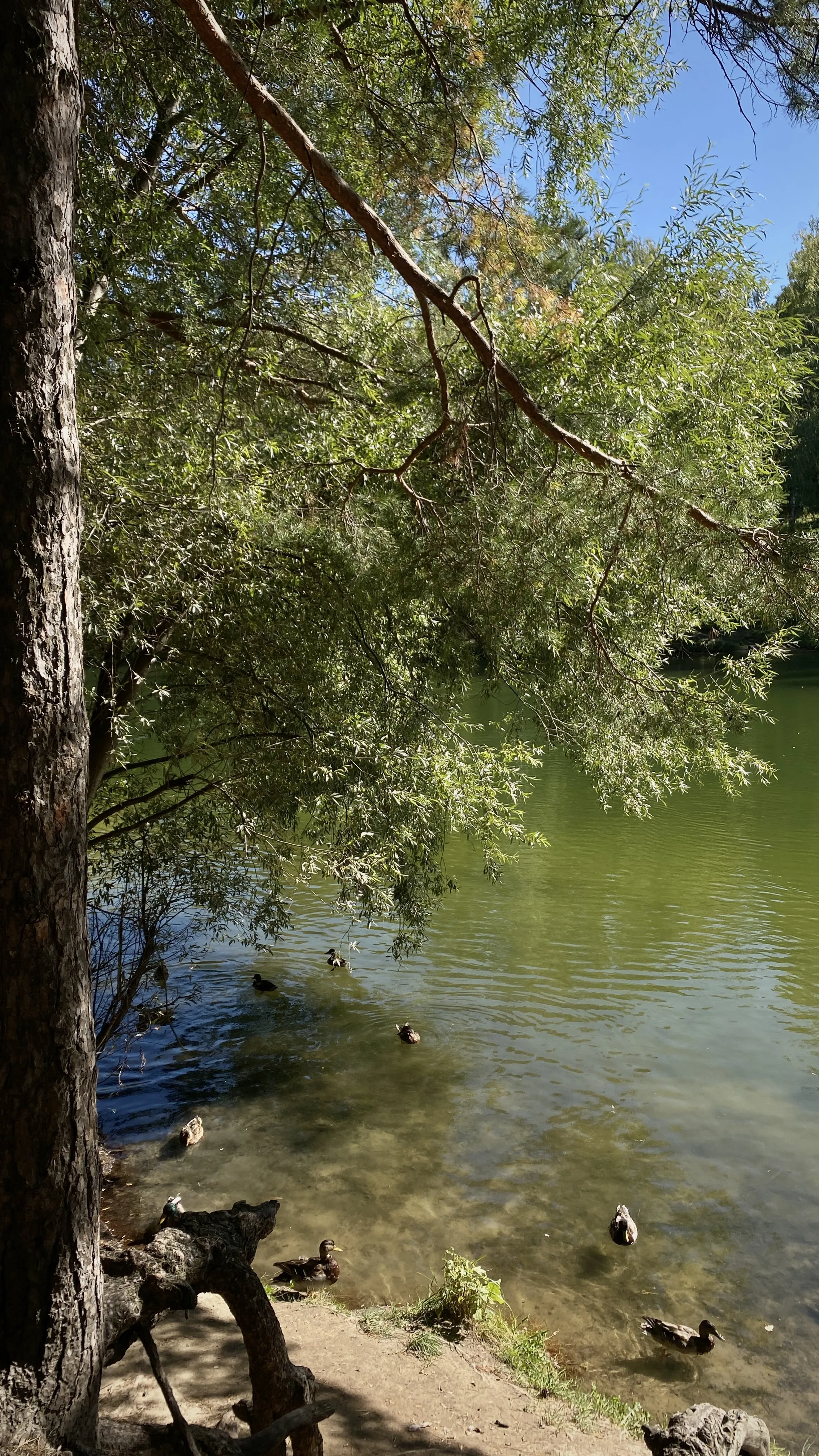 Жизнь на воде