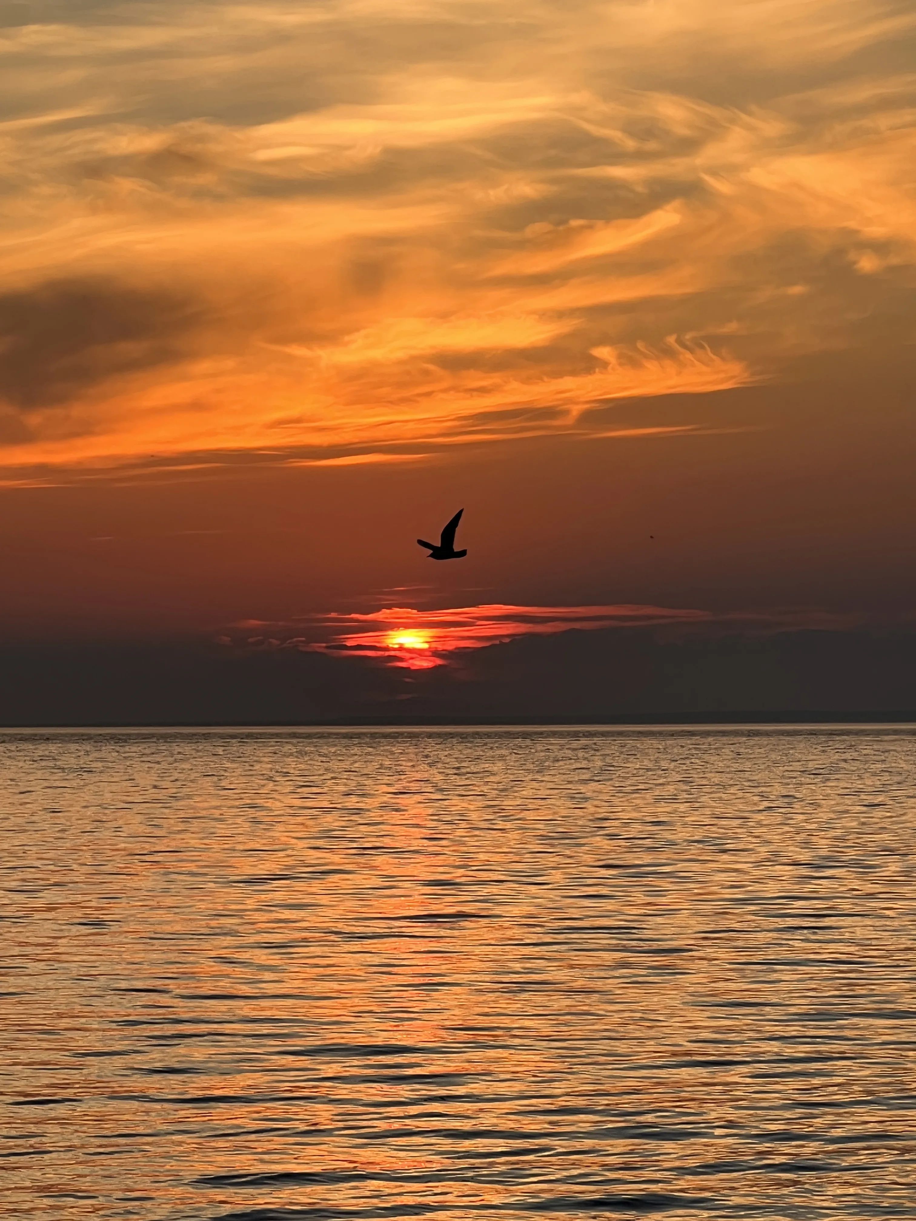 Огненный закат