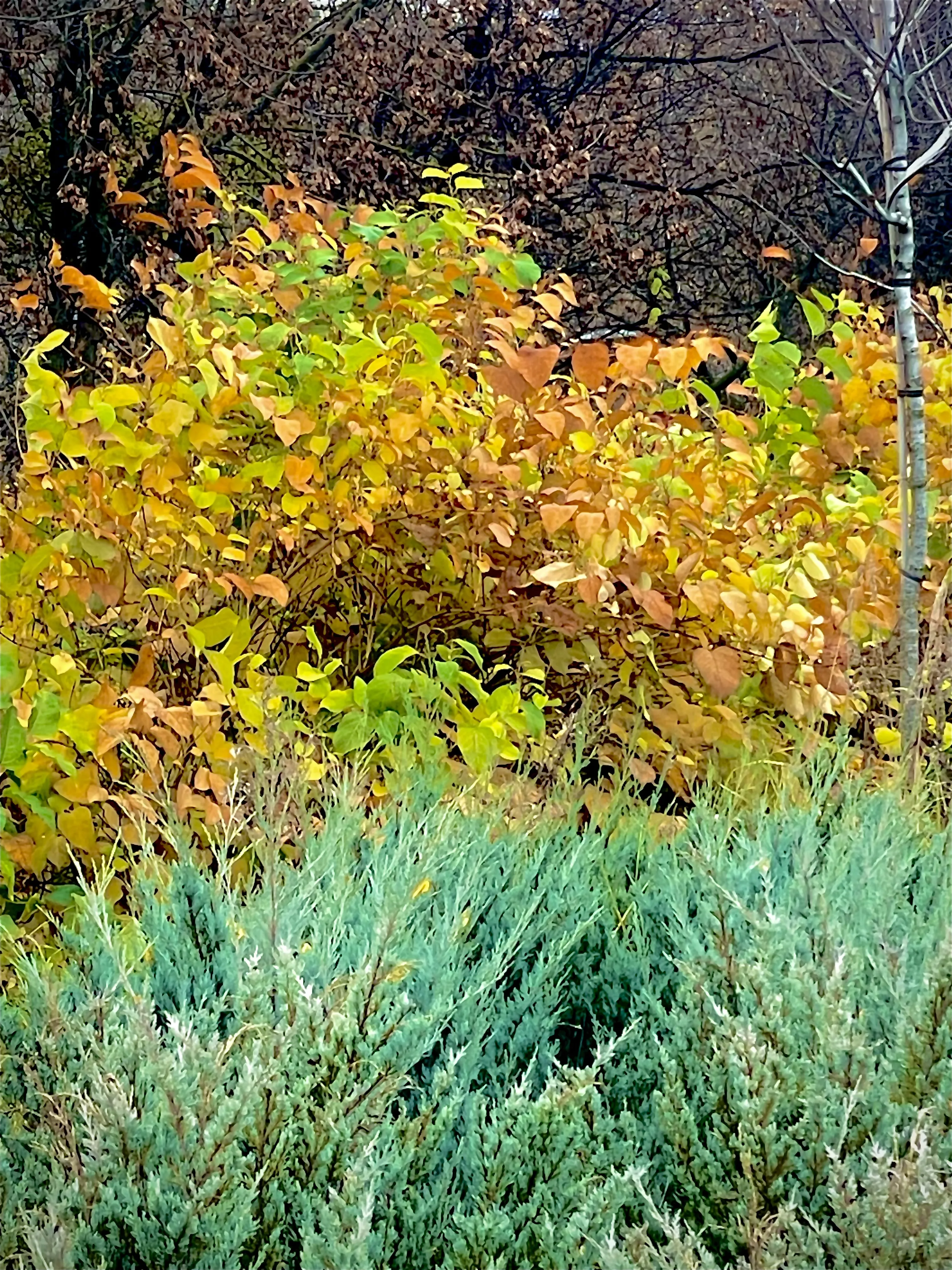 Пространство перемен