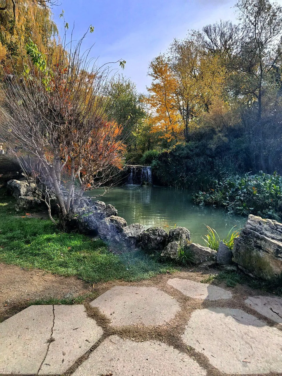 осень в парке