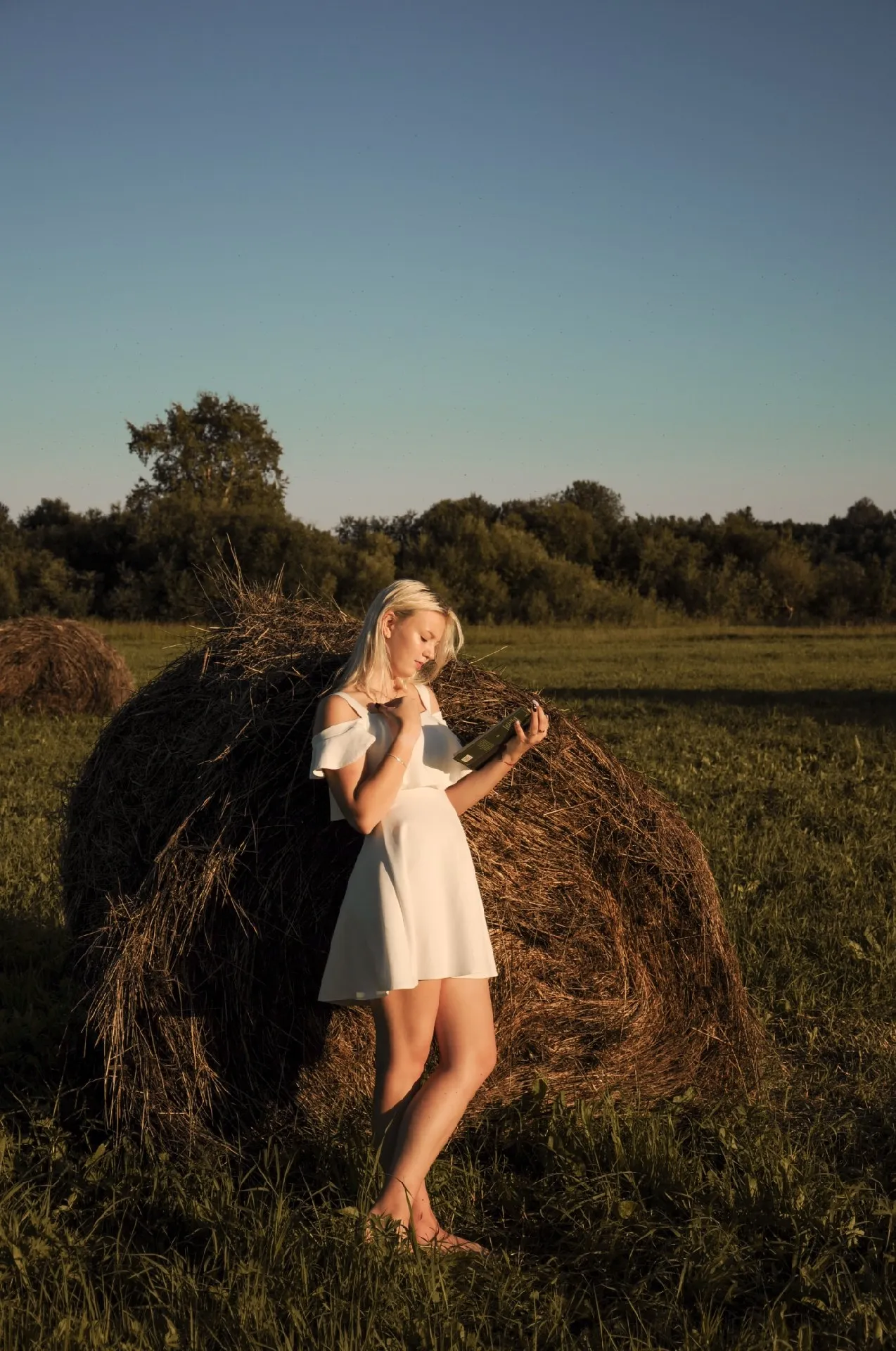 Сельская идиллия