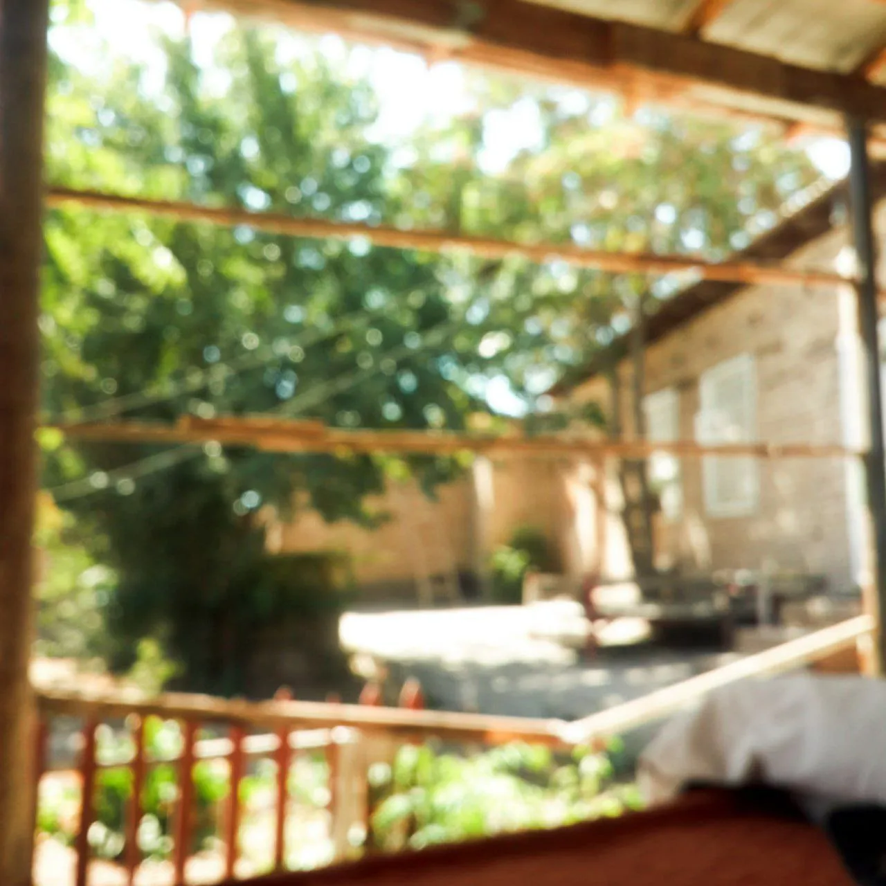 детство среди садов дынь и арбузов