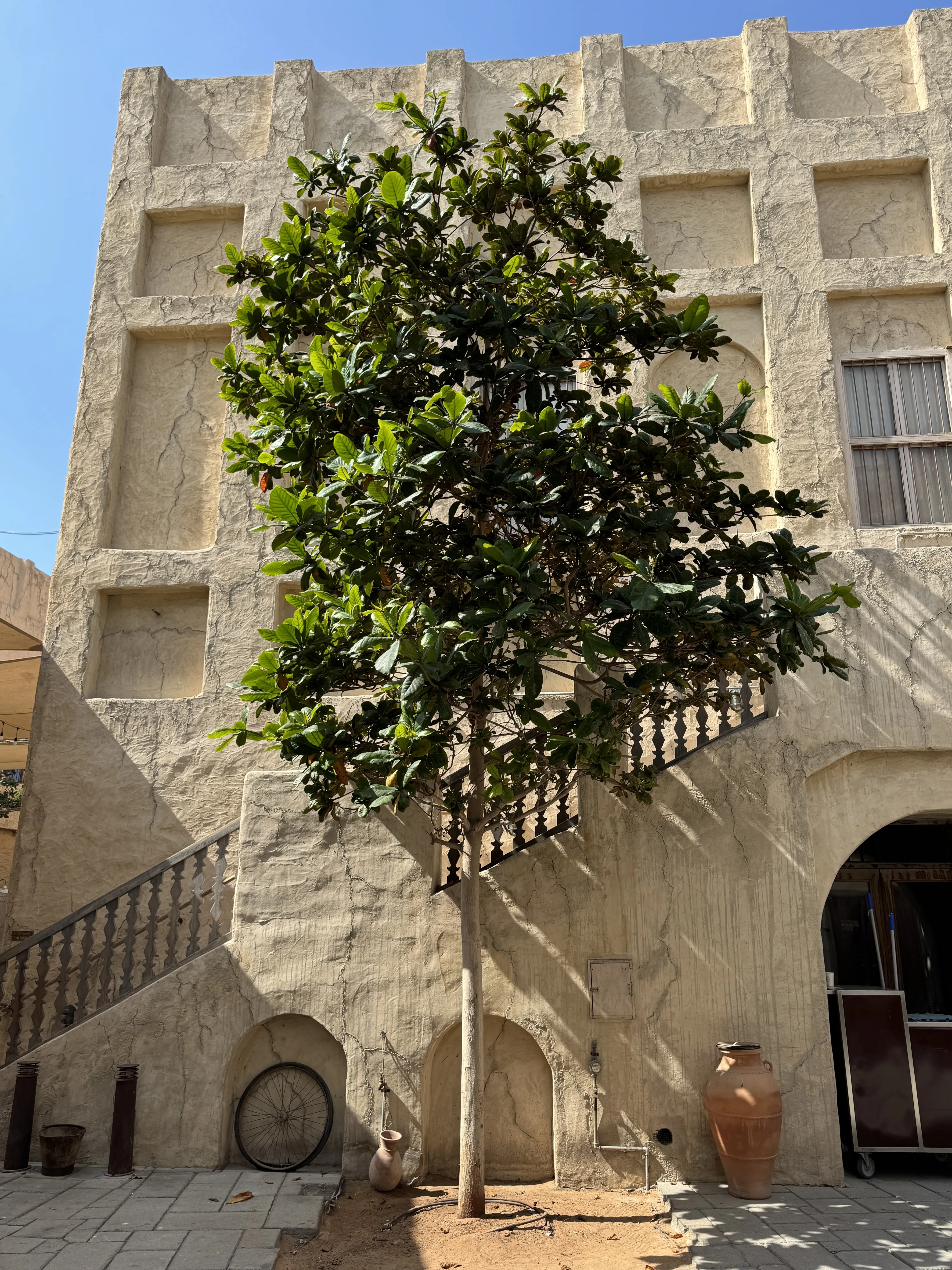 единство природы и человека