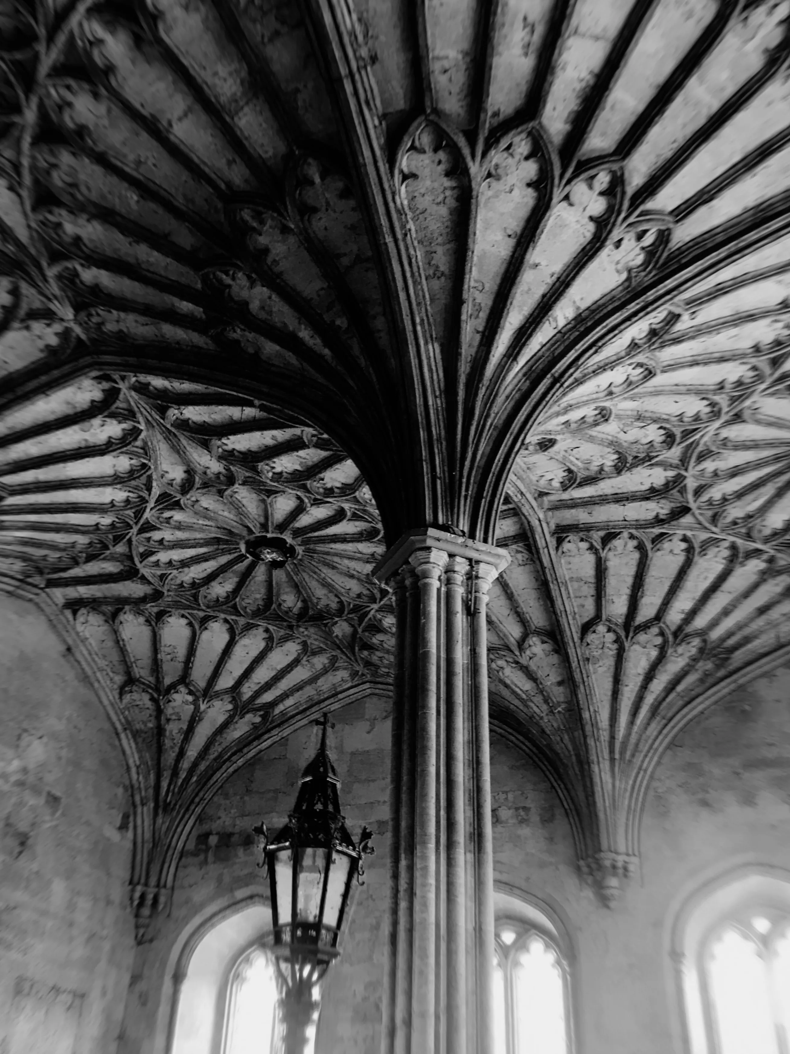 Каменные цветы