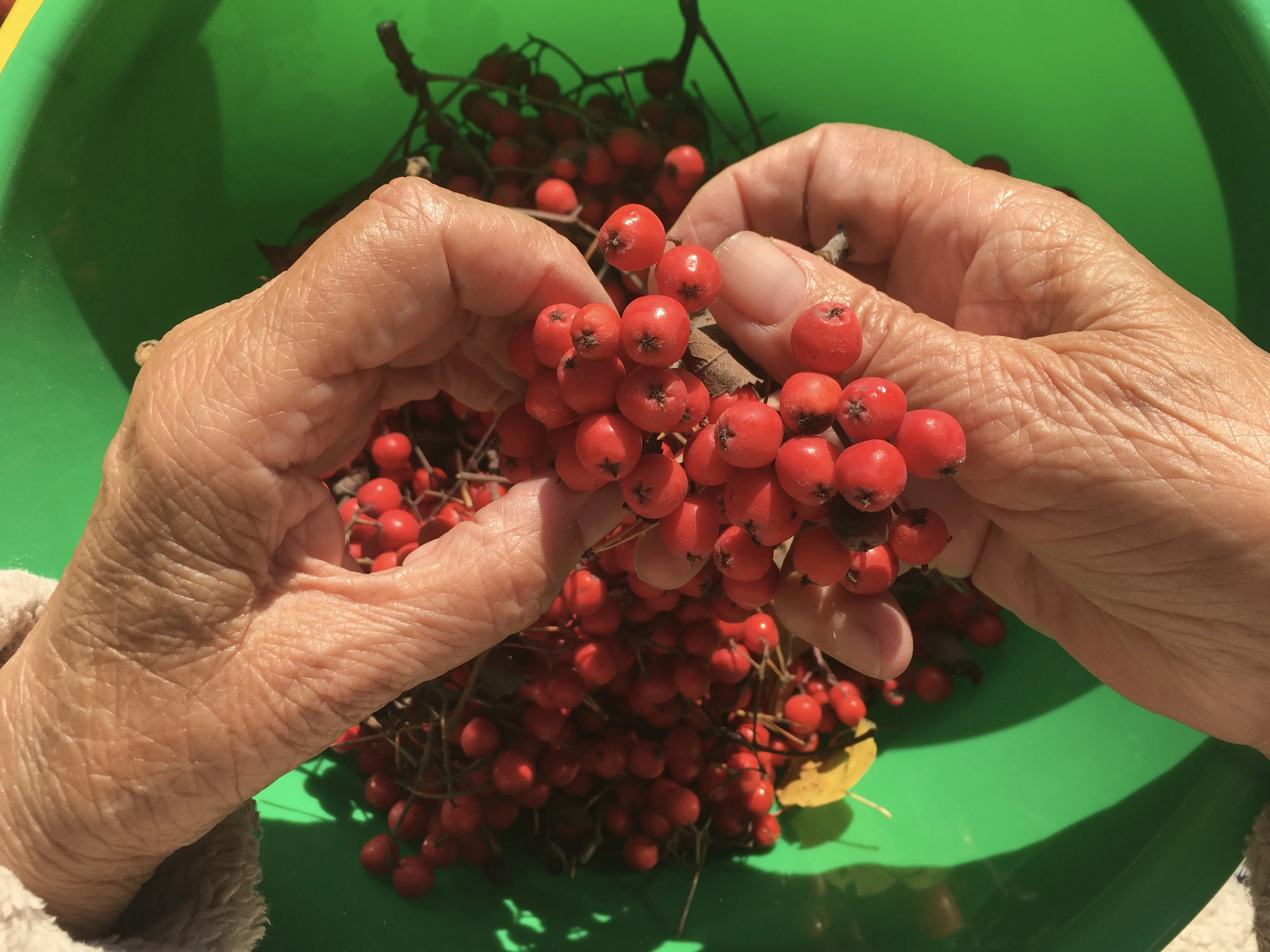 Мамины руки