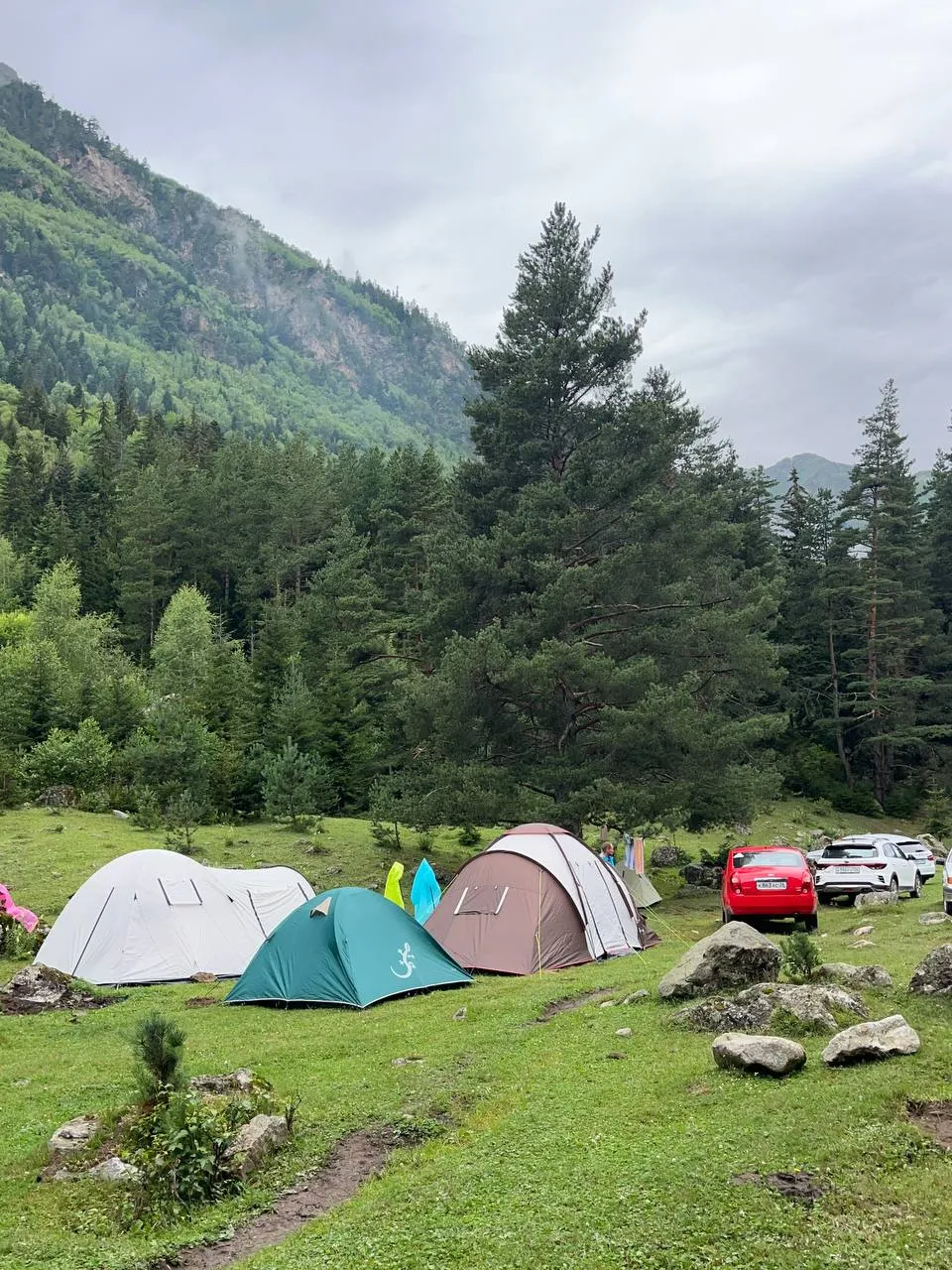 День на природе