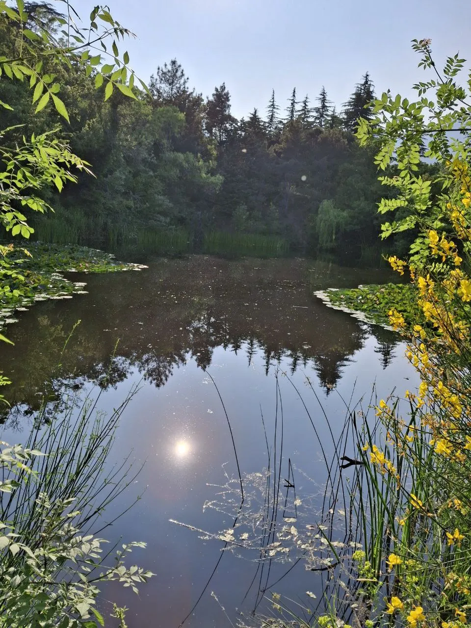 Чудное мгновенье