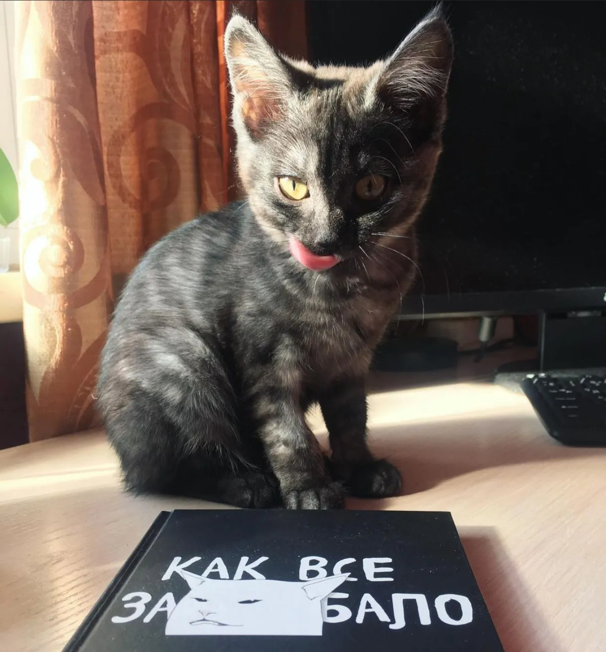 Невыносимая тяжесть бытия и меня.