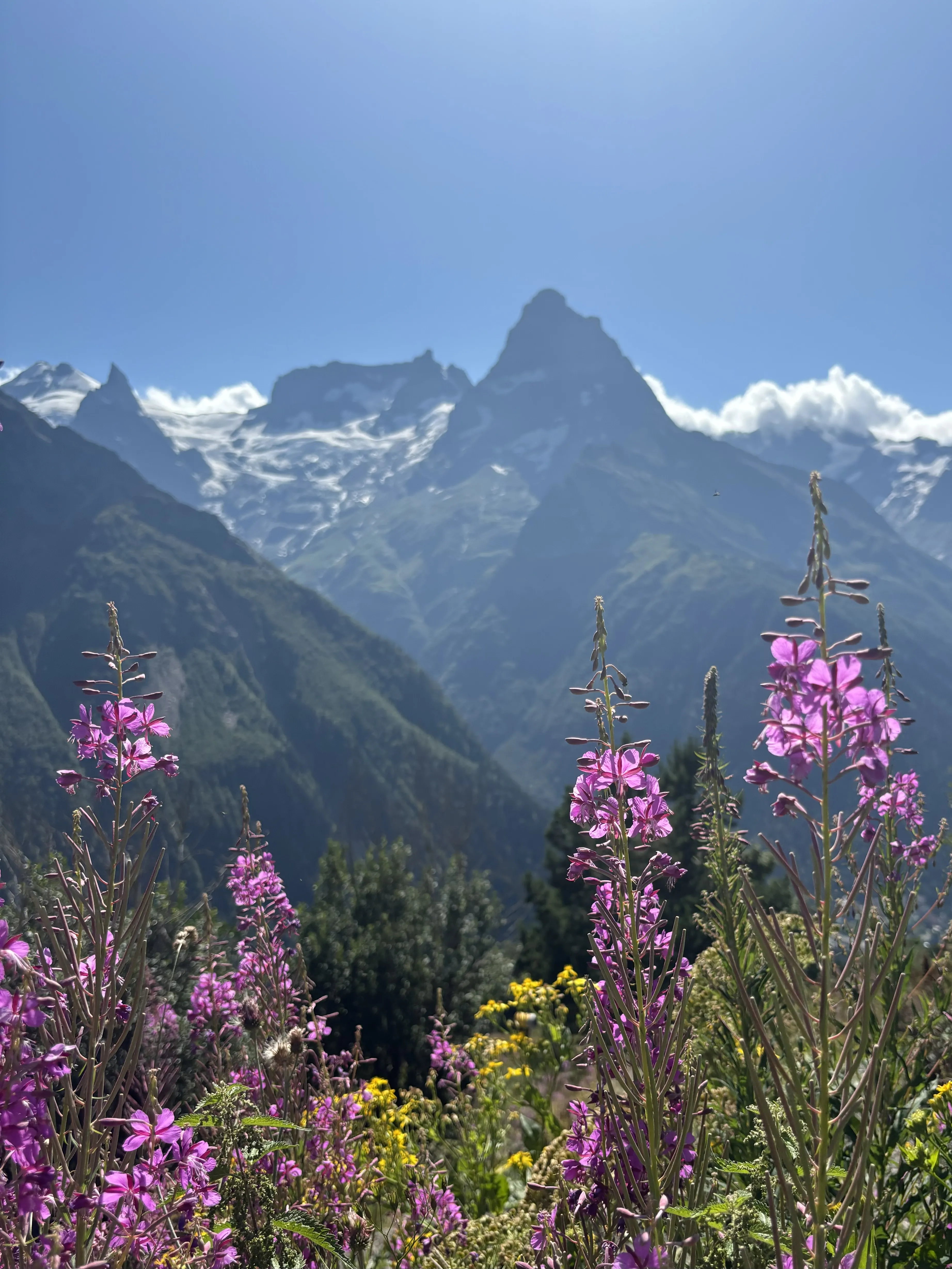 Лето в Домбае