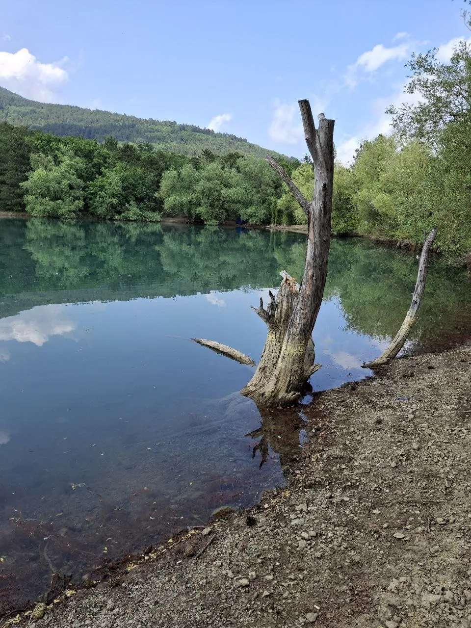 Дары природы.